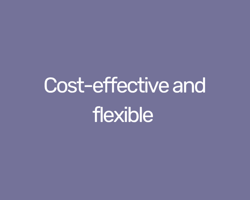Text on a purple background that says 'Cost-effective and flexible'. We make good HR support affordable and can work with you to find the best way to support your needs. 