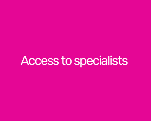 Pink background with white text reading 'Access to specialists'. We are speacalist HR support with a huge amount of HR knowledge and experience
