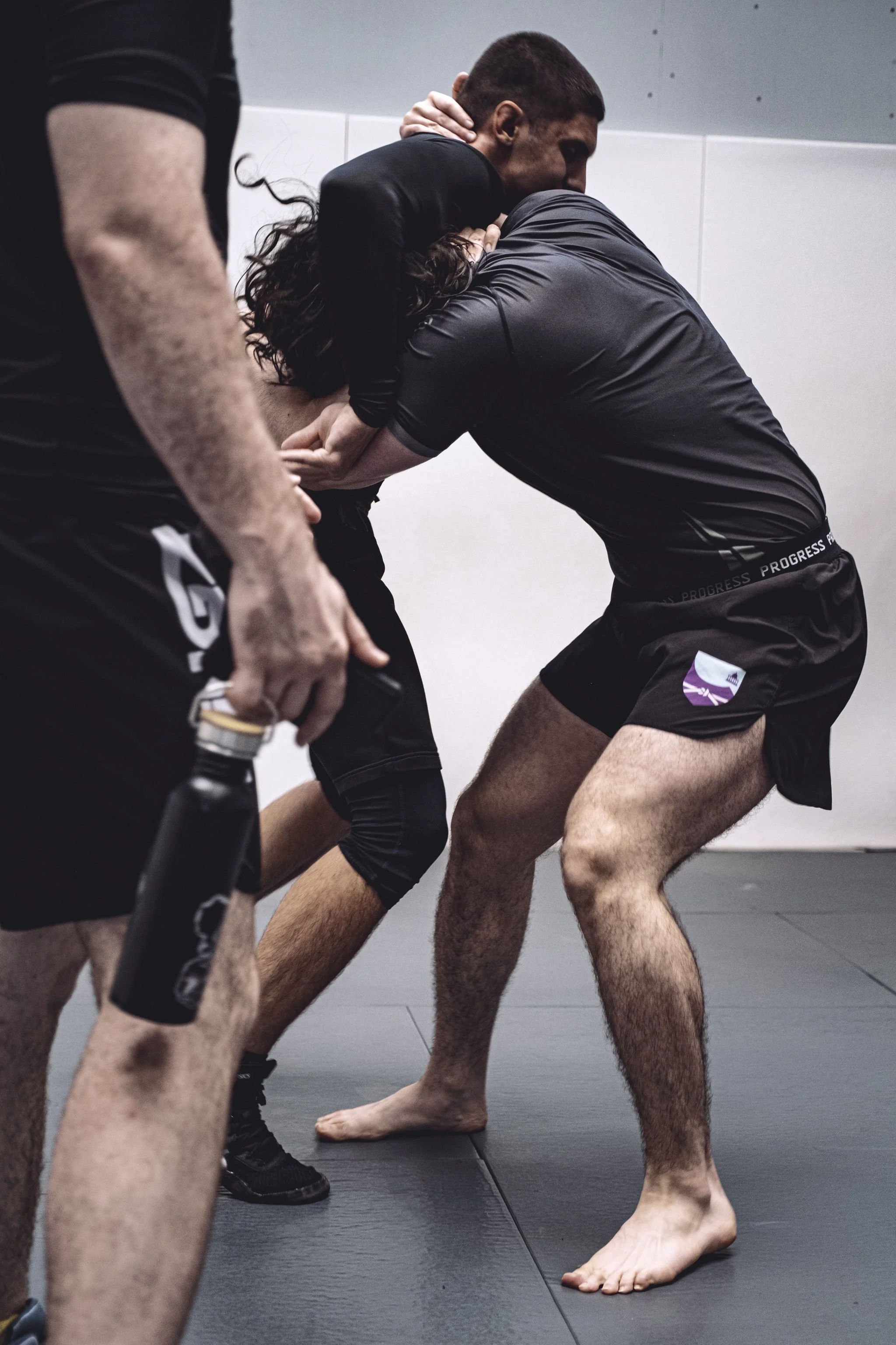 Adults Freestyle Wrestling