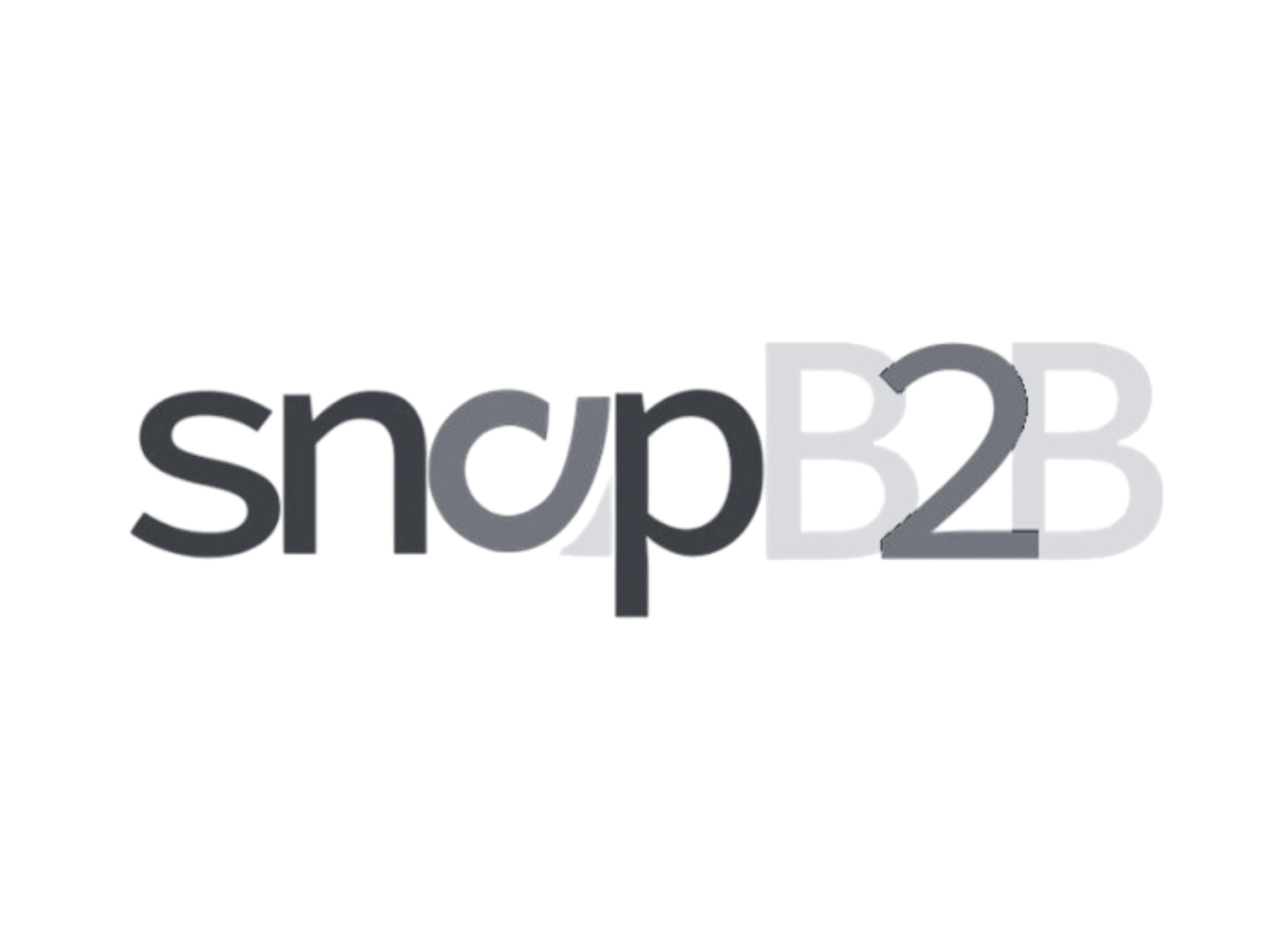 snapB2B.png