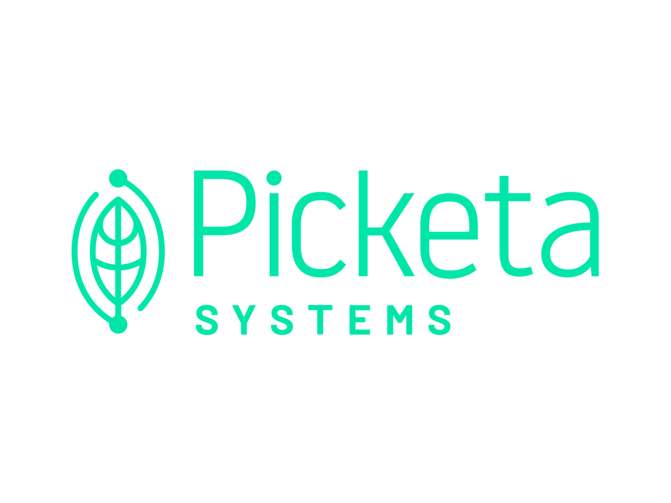 Picketa Systems.png