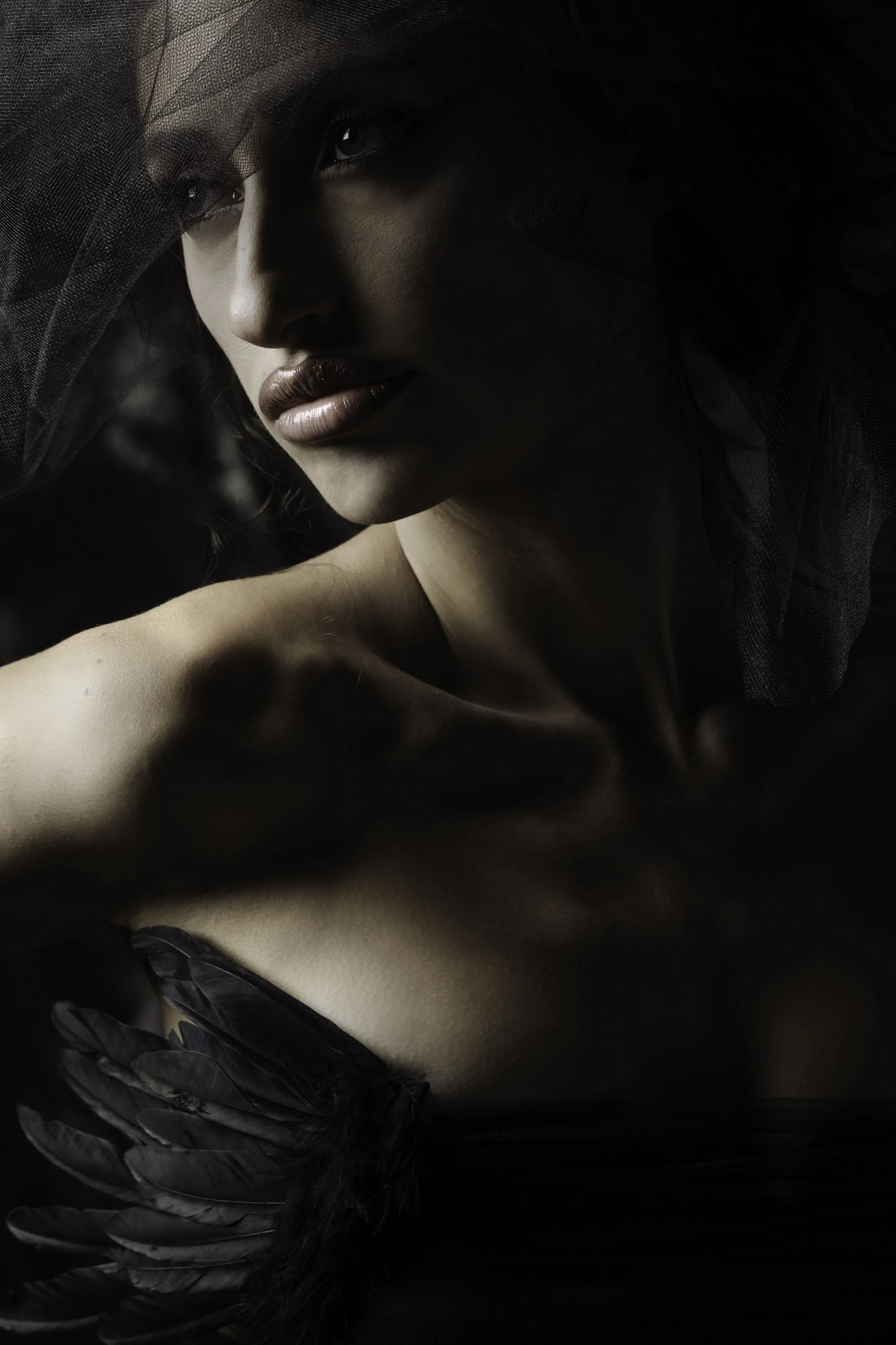 A woman with dark hair, makeup, and black feathered wings, partially covered by a black mesh veil, posed against a dark background.