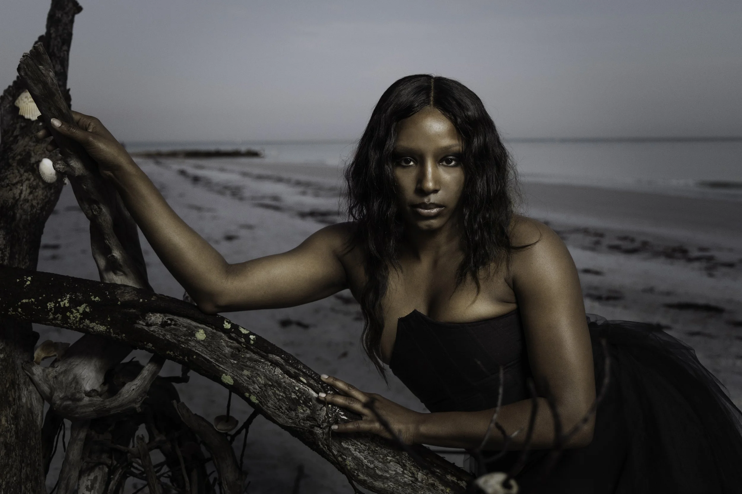 A woman with dark wavy hair and dark makeup wearing a strapless black dress, leaning on a tree branch on a beach with a cloudy sky and ocean in the background.