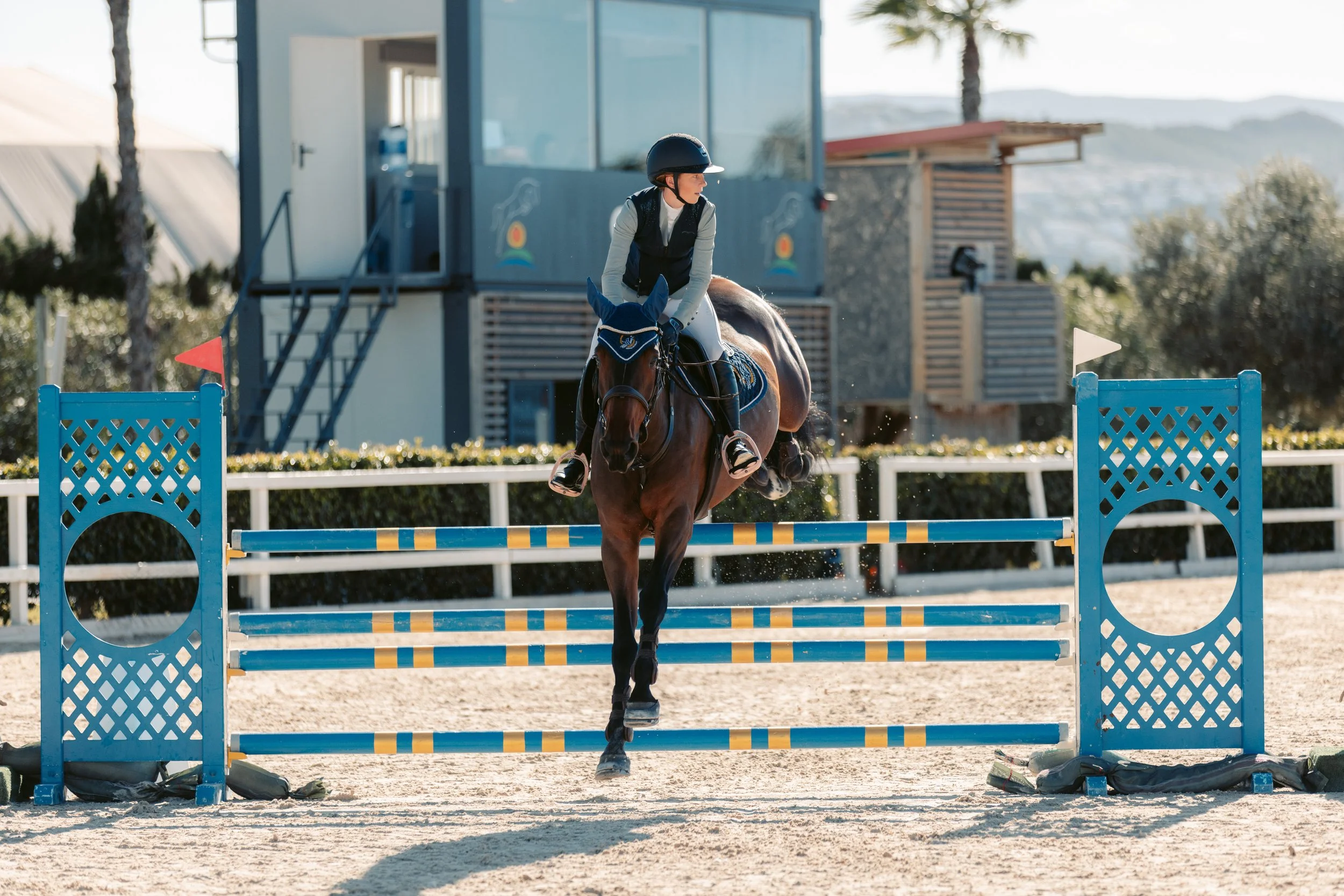 Strides Best Friend Autumn MET 2 2025