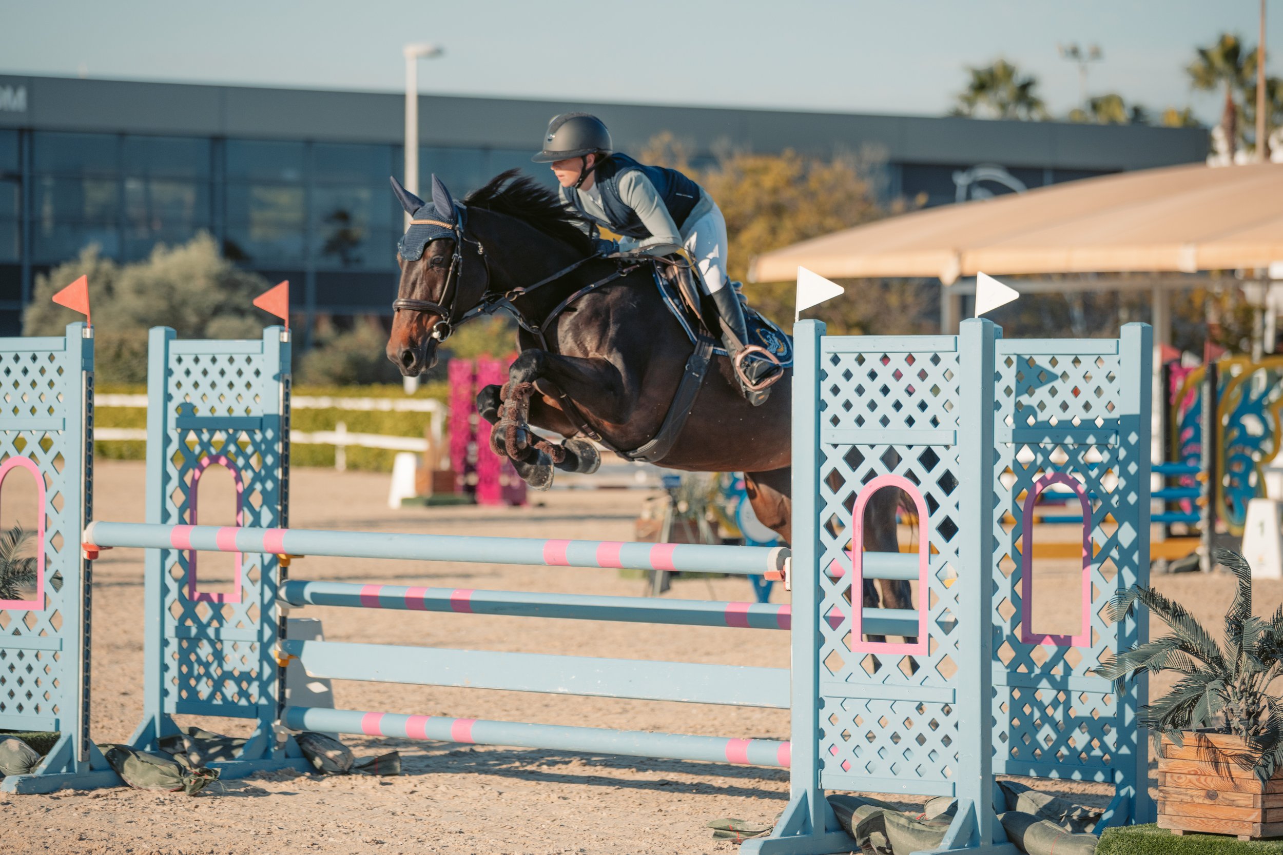 Strides Best Friend Autumn Met 2 2025