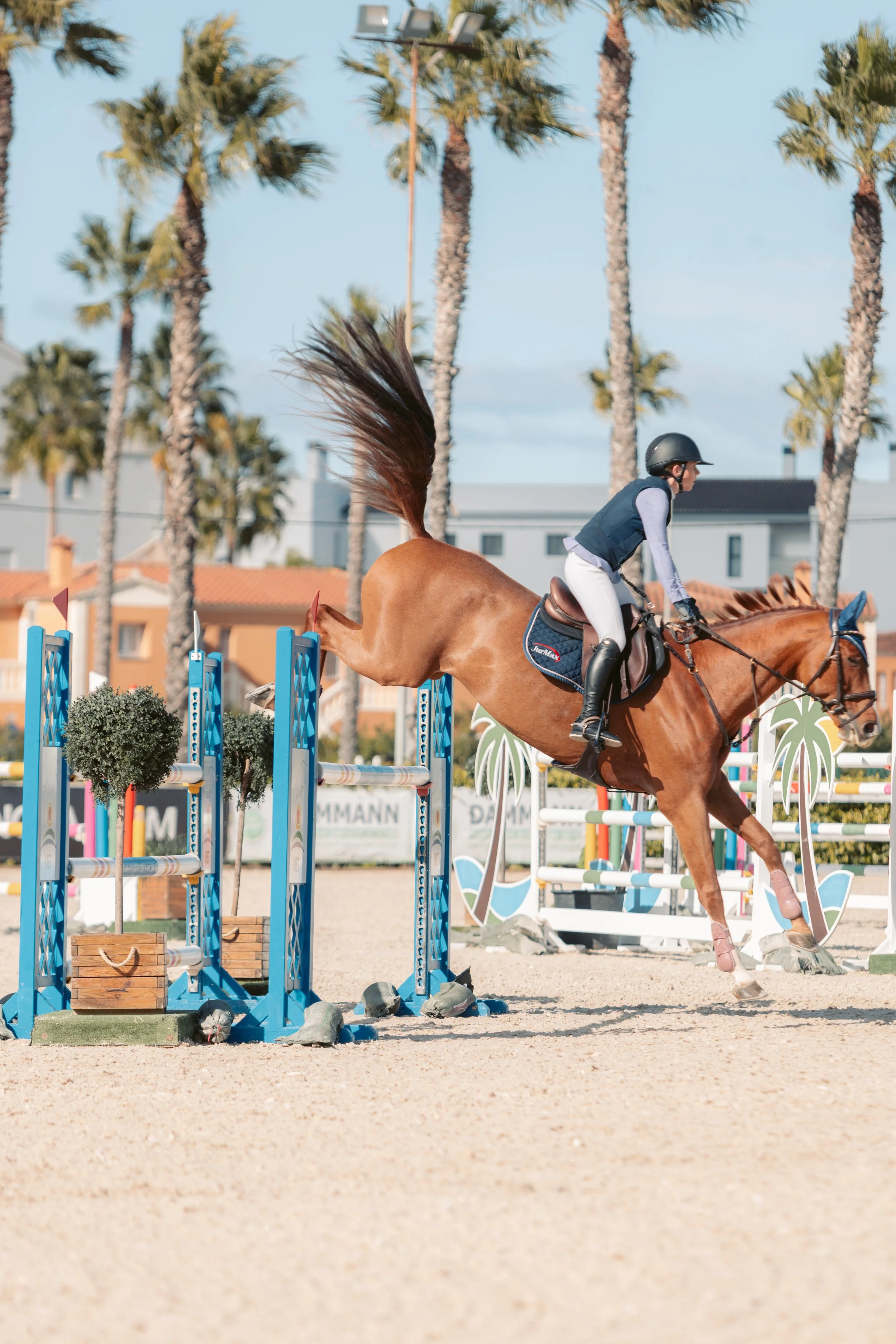 Jambezi Autumn Met 2 2025