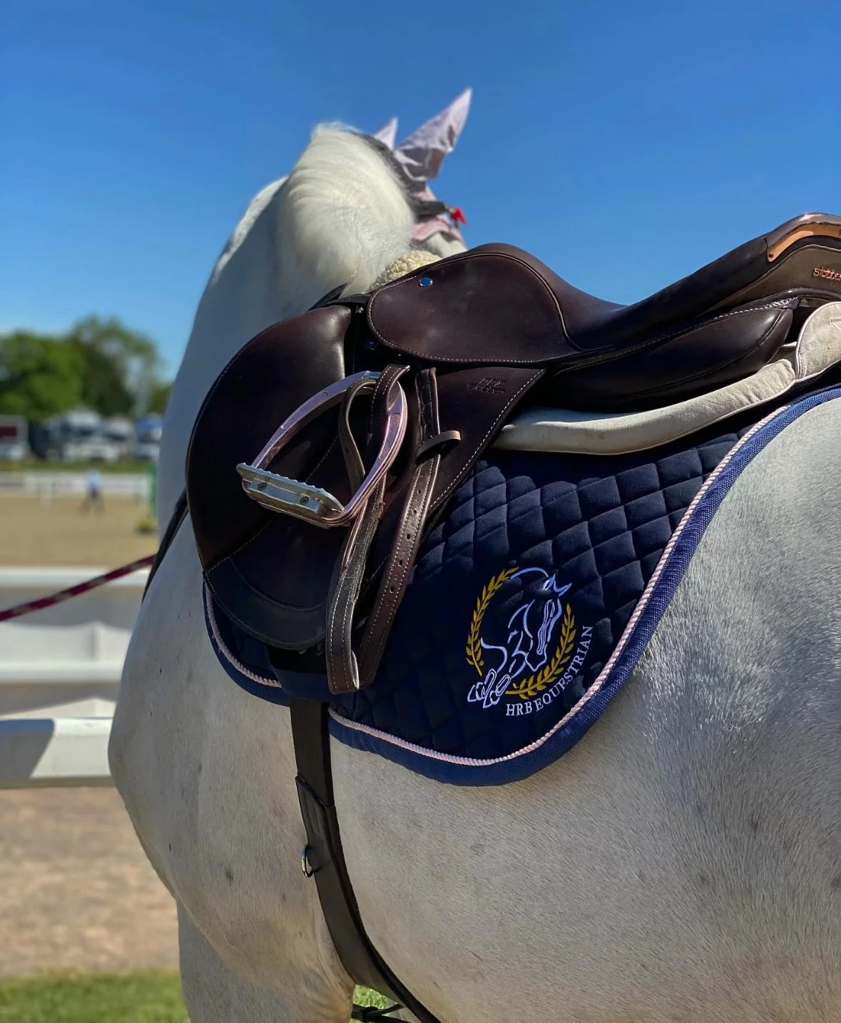 Close-up of a white horse with a black saddle, blue saddle pad with logo, and bridle, outdoors on a sunny day with a blue sky.