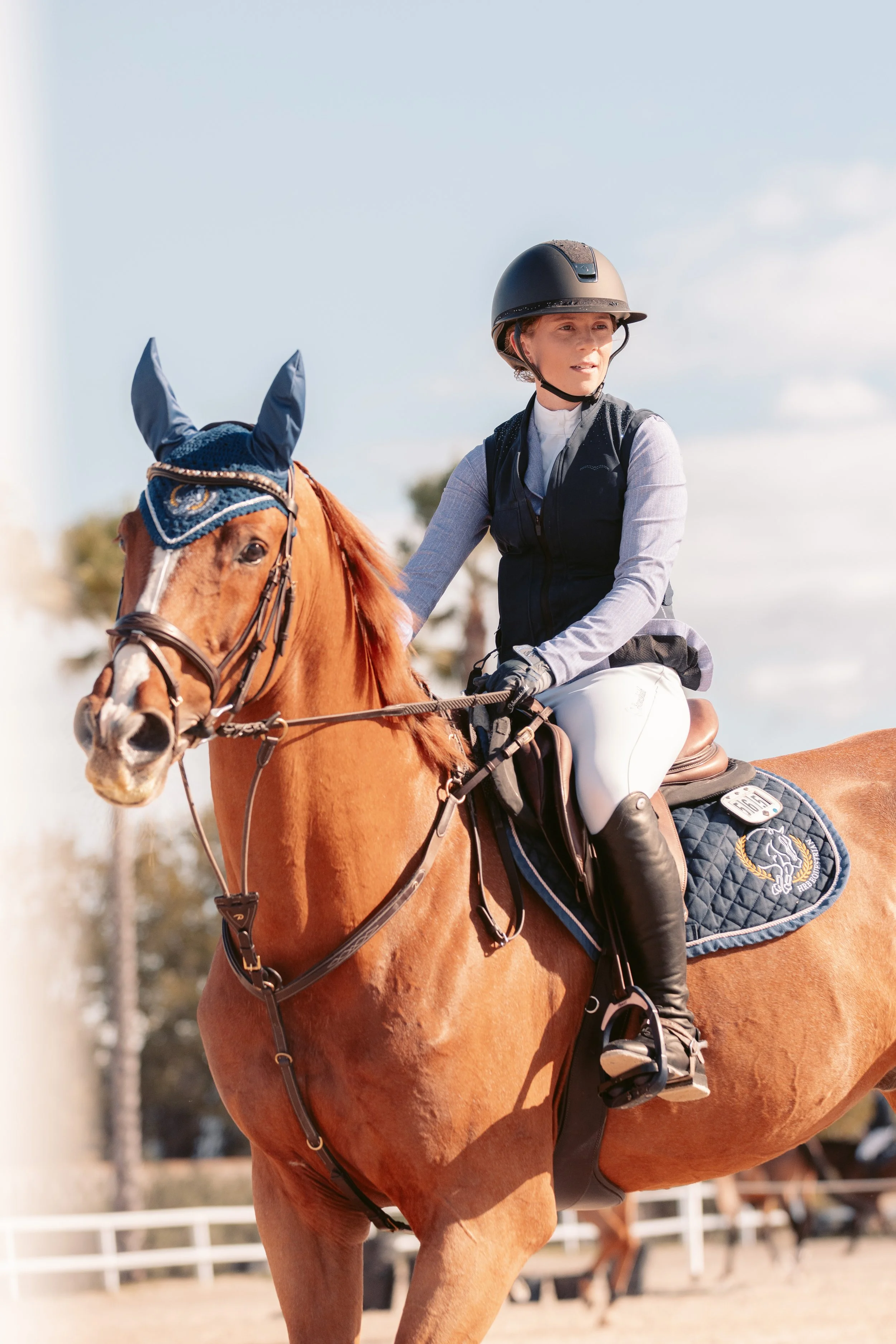 Jambezi Autumn Met 2 2025