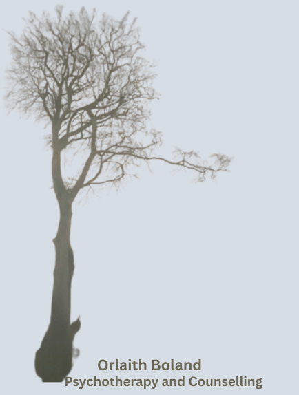 Orlaith Boland Counselling