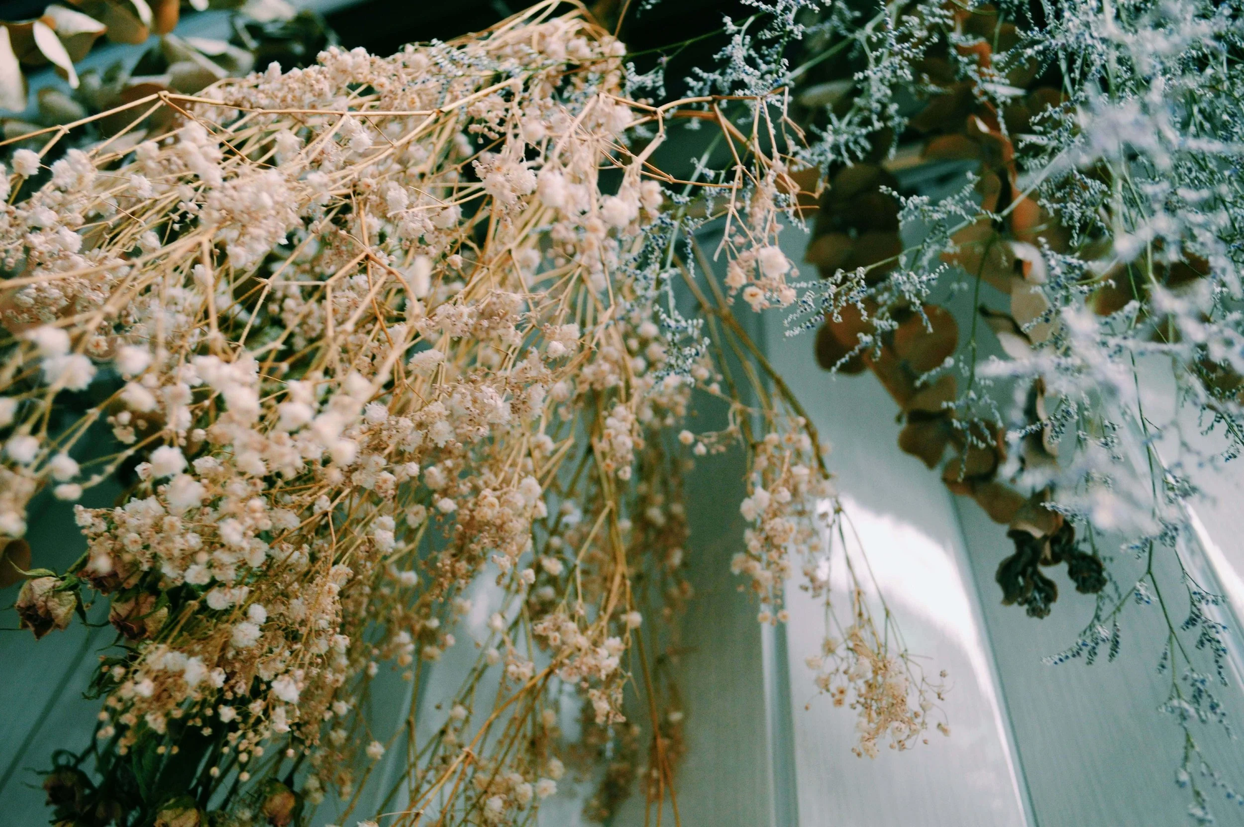 Dried flowers in chronic pain therapist's Seattle office