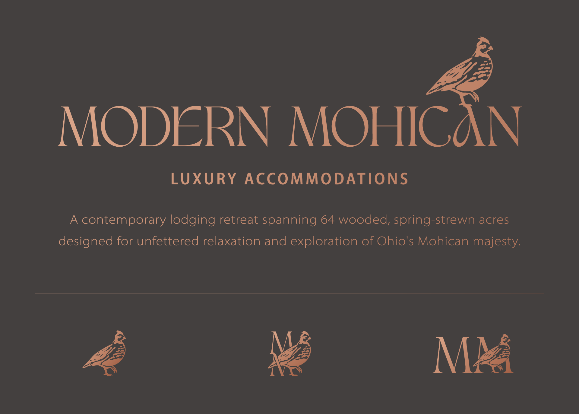 RRD_Modern-Mohican_Brand-Identity.png