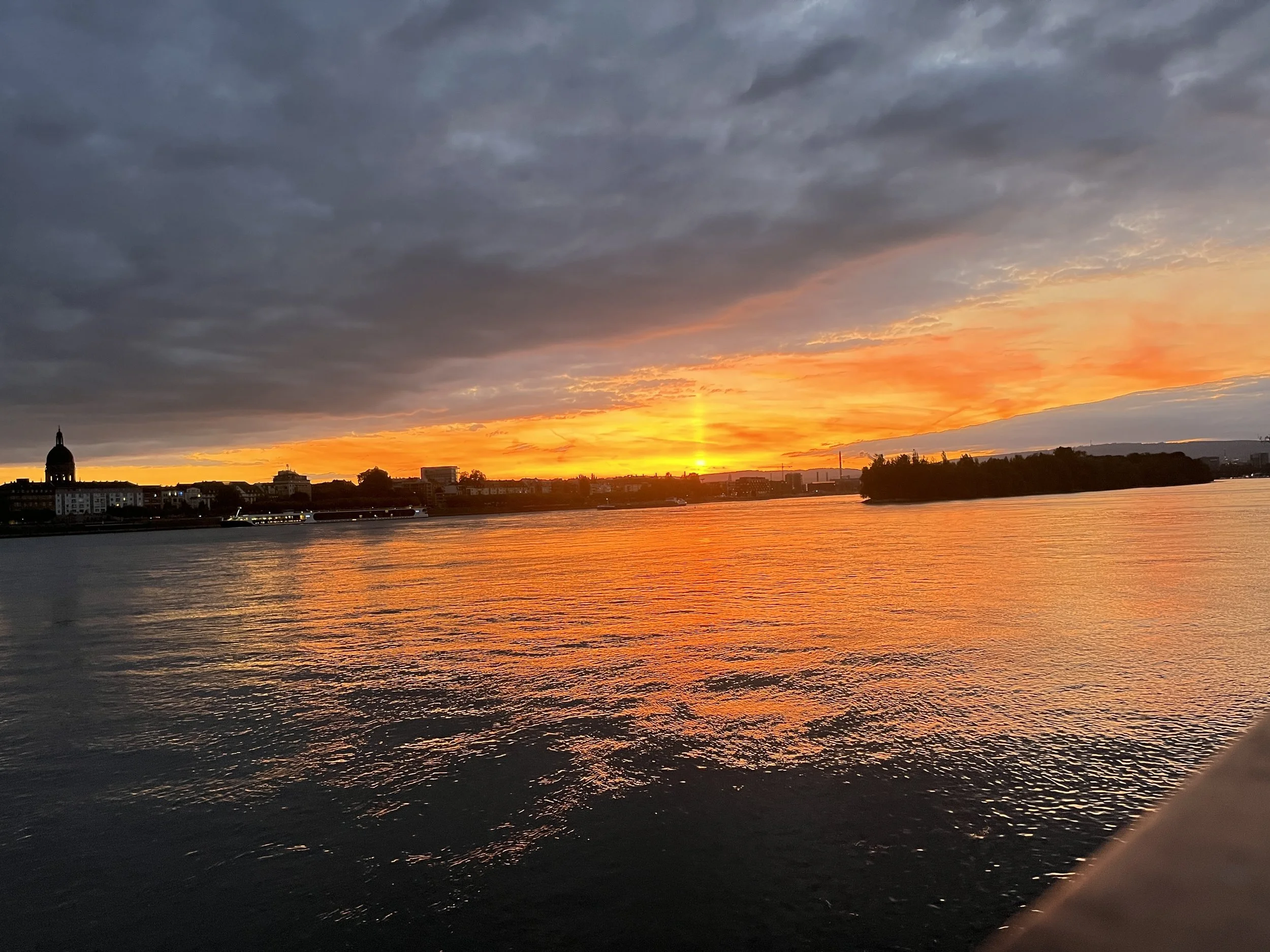 妳以為的寂寞，其實是靈魂在紮根:   海外華人的異鄉內心旅程