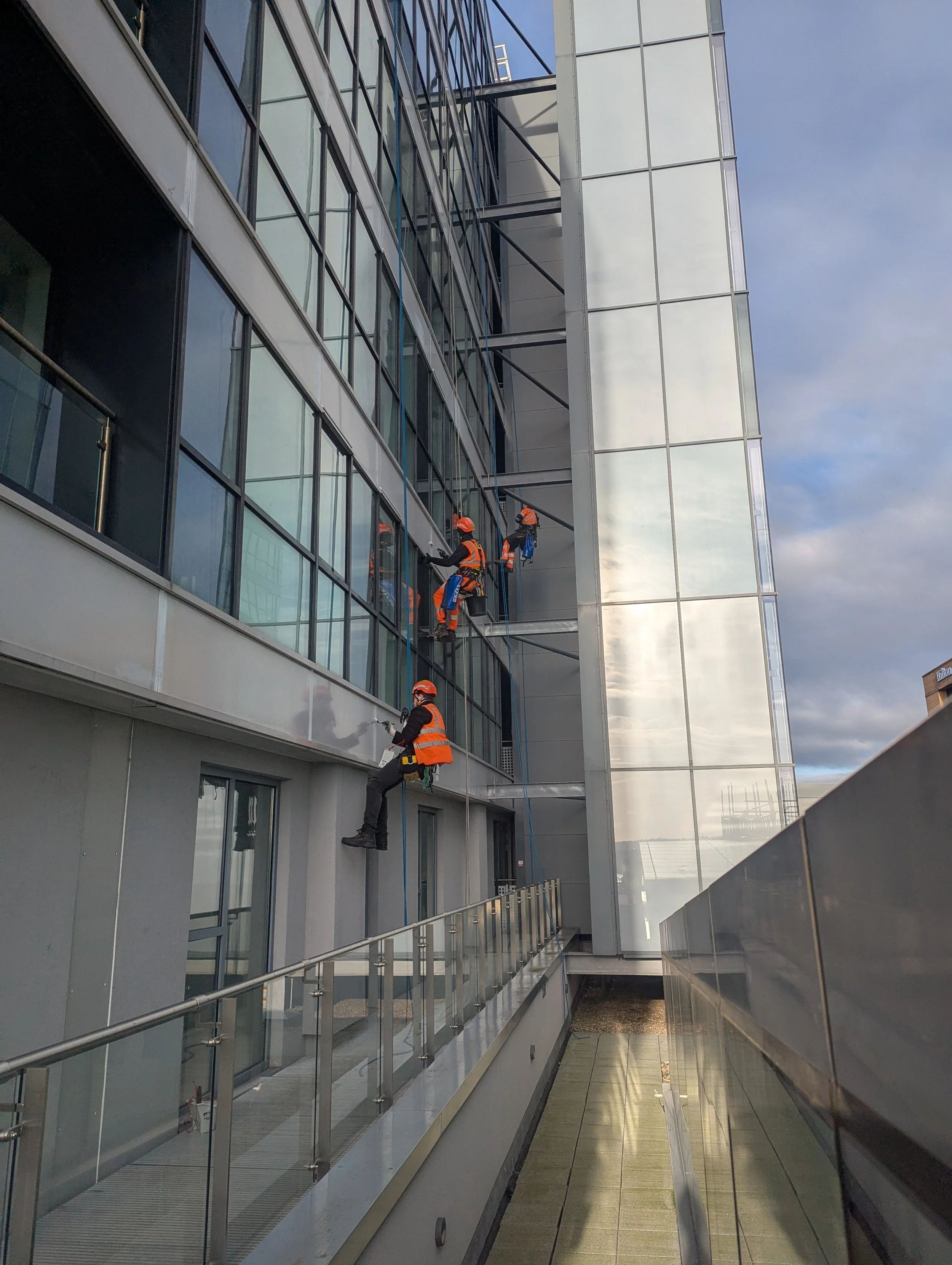 Construction workers in orange safety vests and helmets cleaning windows on a high-rise building using ropes and harnesses.