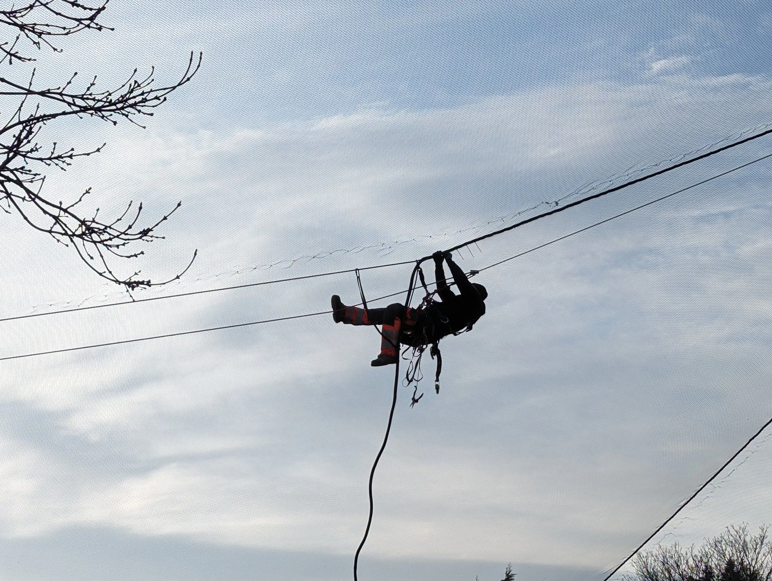 A person working on power lines suspended in the air with a safety harness, against a cloudy sky with some tree branches visible.