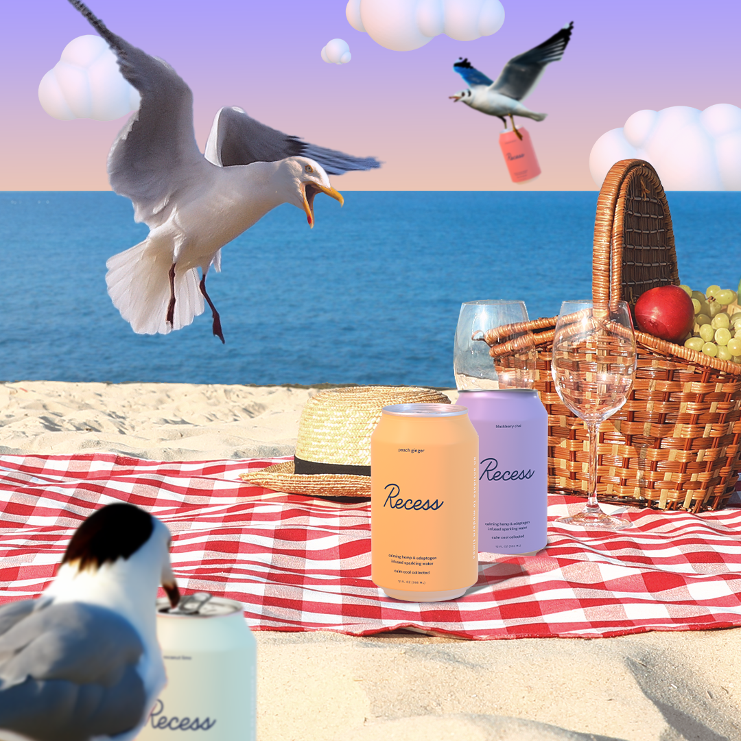 IGFeed_08.03.23_BeachSeagull.png