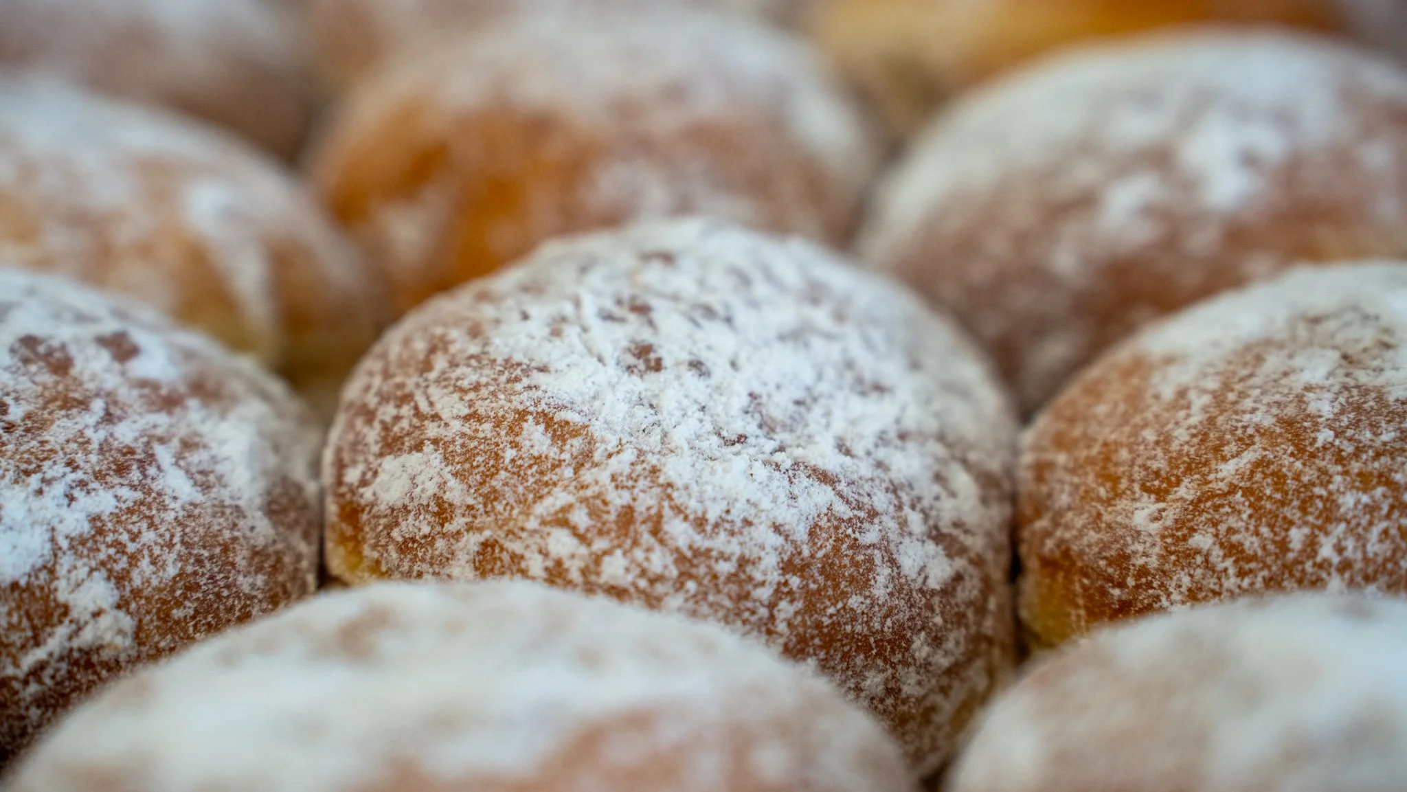 Close-up of powdered sugar-coated donuts arranged in rows.