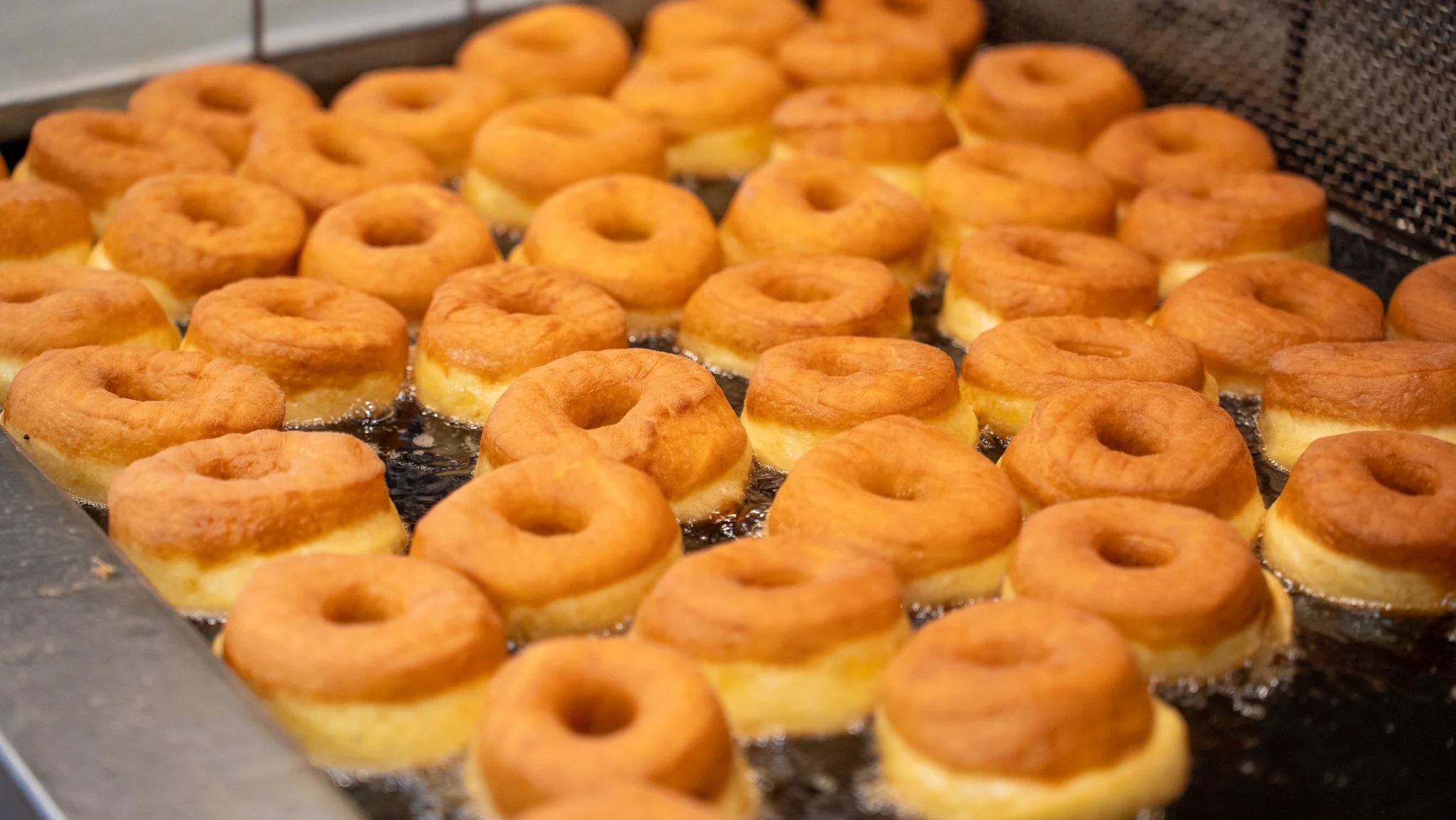 A tray of freshly fried donuts in a commercial kitchen.