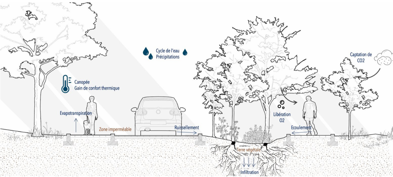 Cycle de l'eau : moins d'imperméabilisation et plus d'air