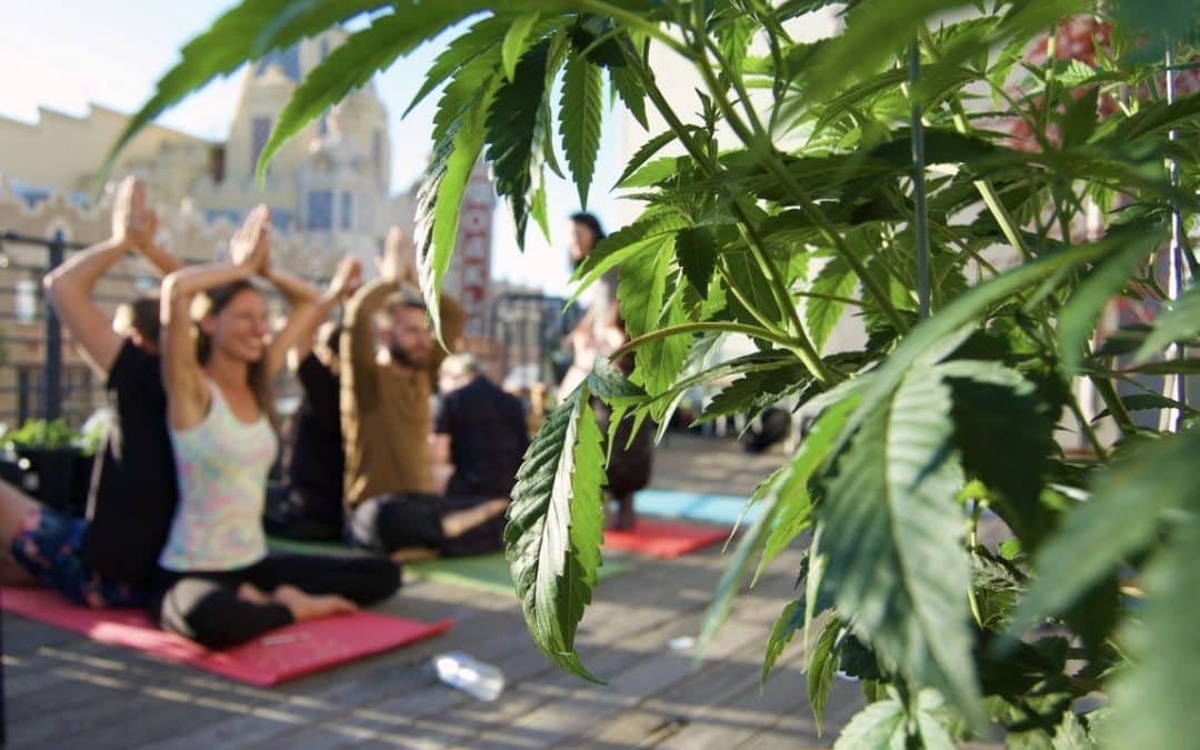 Restoring Intention in Yoga &amp; Cannabis
