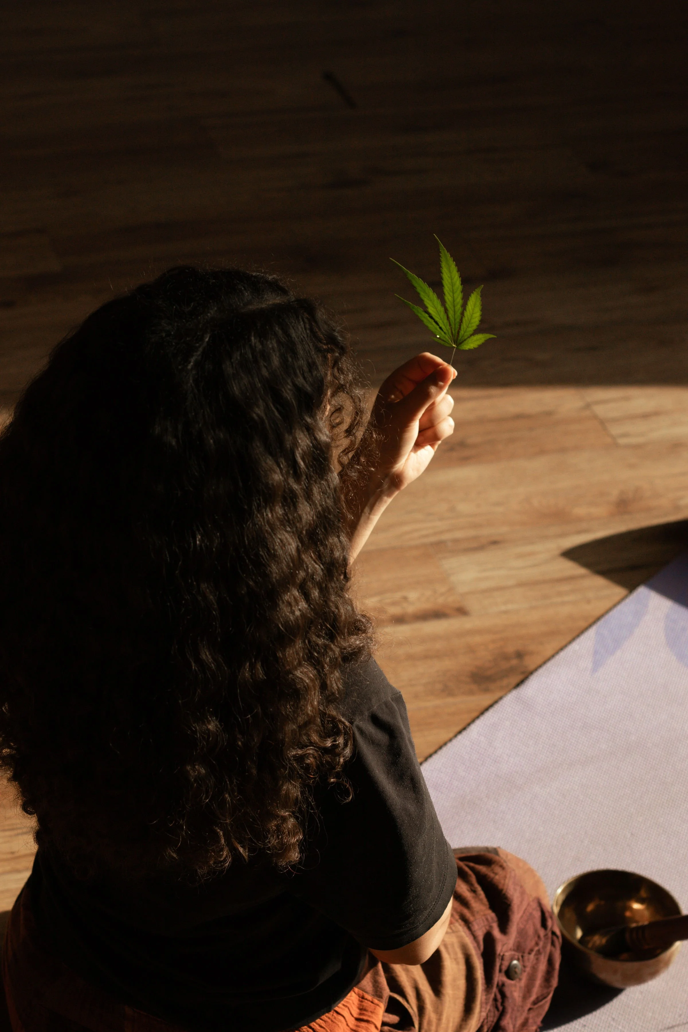 Connecting With Our Plant Allies