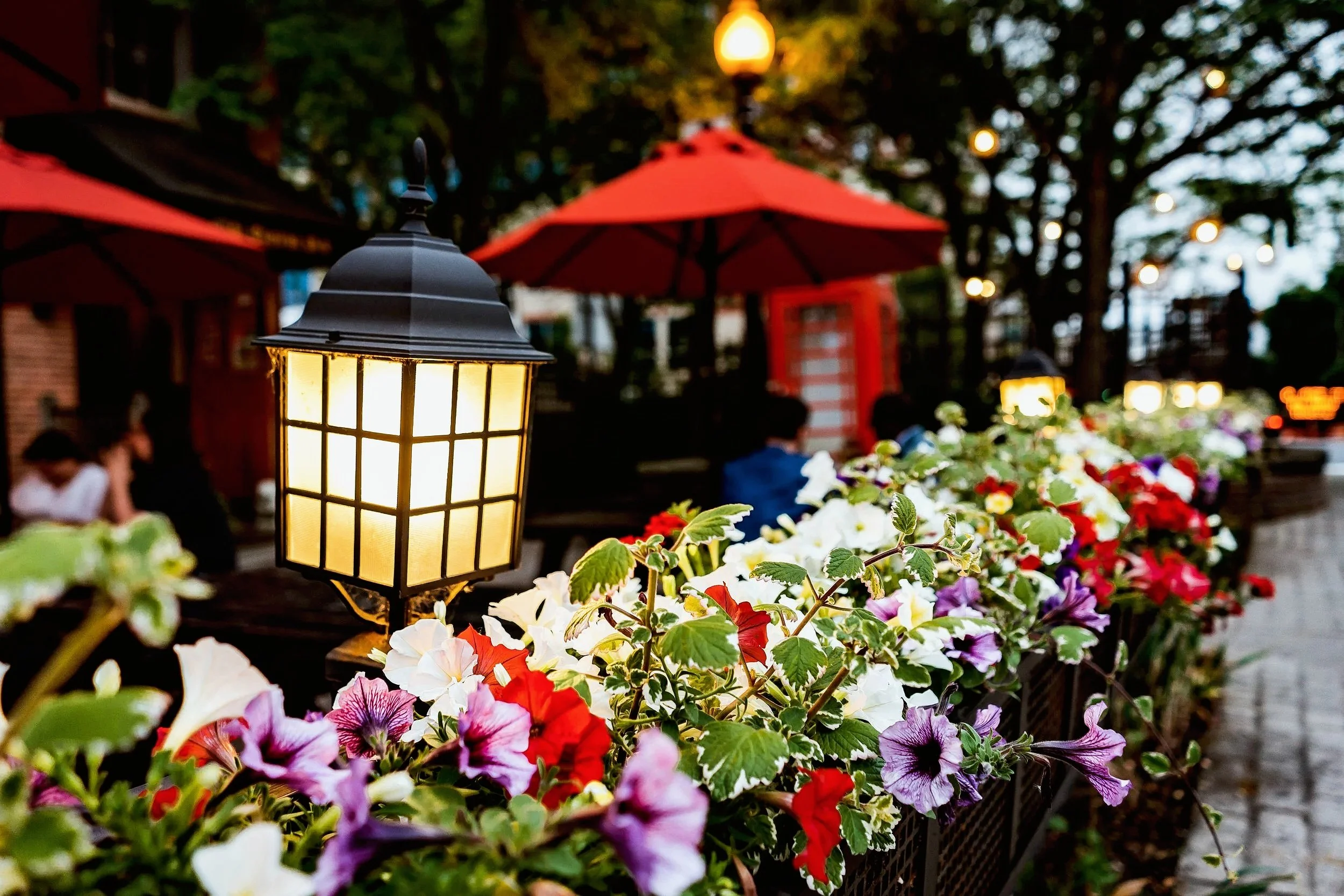 Glow of a yellow outdoor lamp illuminating a flower bed with white, red, purple, and pink flowers, with red umbrellas and people in the background at dusk in an outdoor setting.