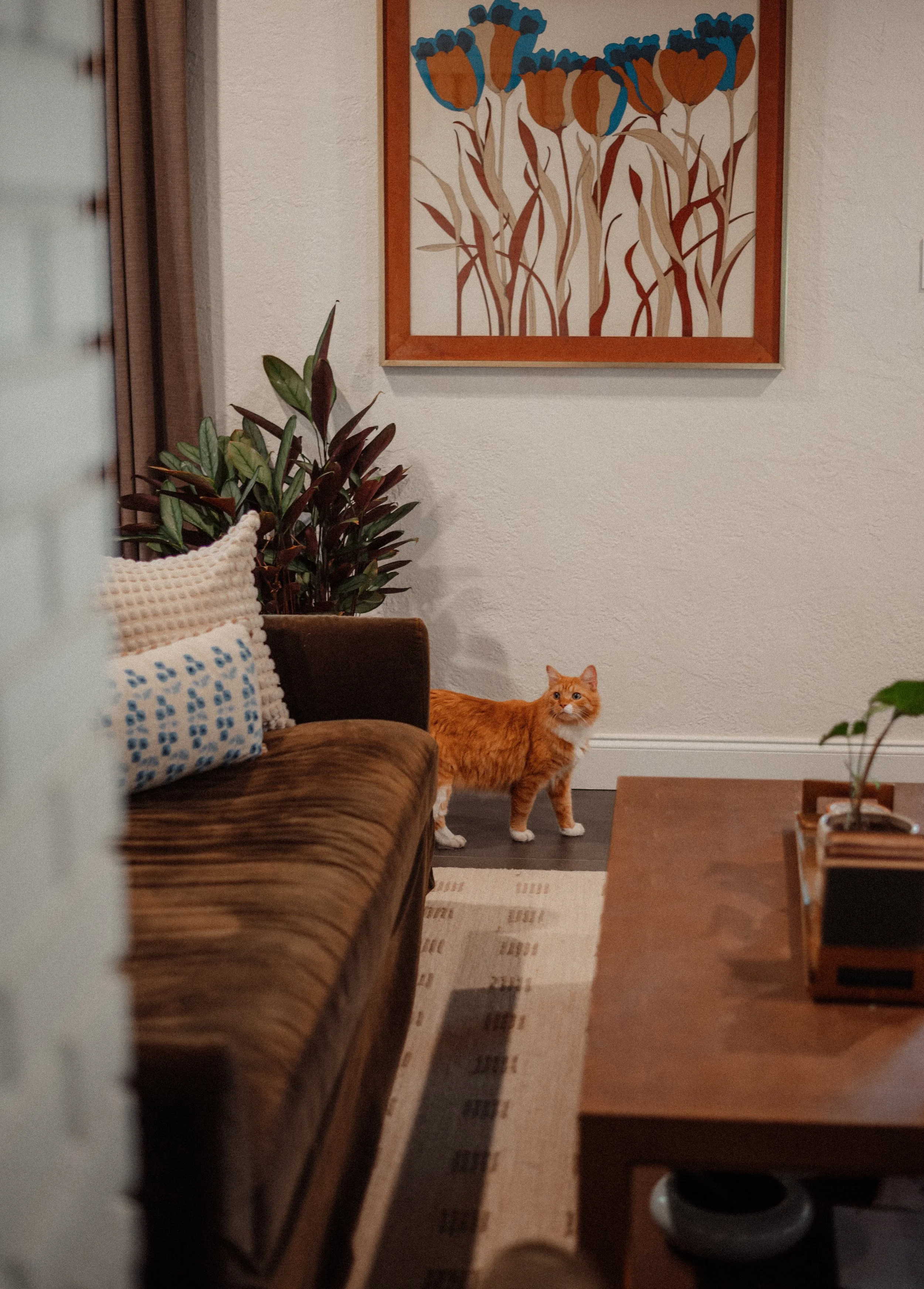 An orange tabby cat standing on a dark wooden floor in a living room, next to a brown sofa with decorative pillows, with a large abstract flower painting on the wall and a potted plant nearby.
