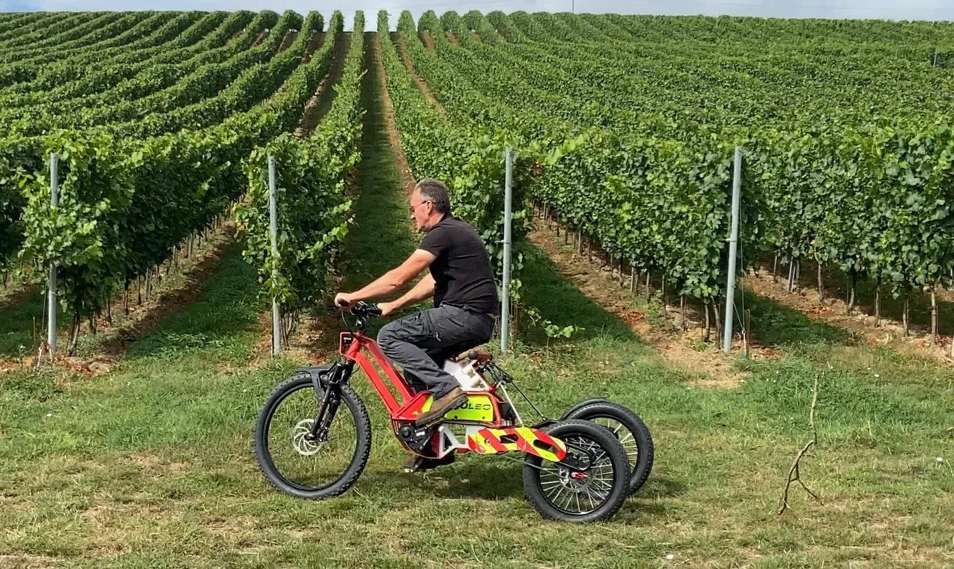 WhatsApp Image 2025-09-01 at 10.48.35 (1) (1).jpeg