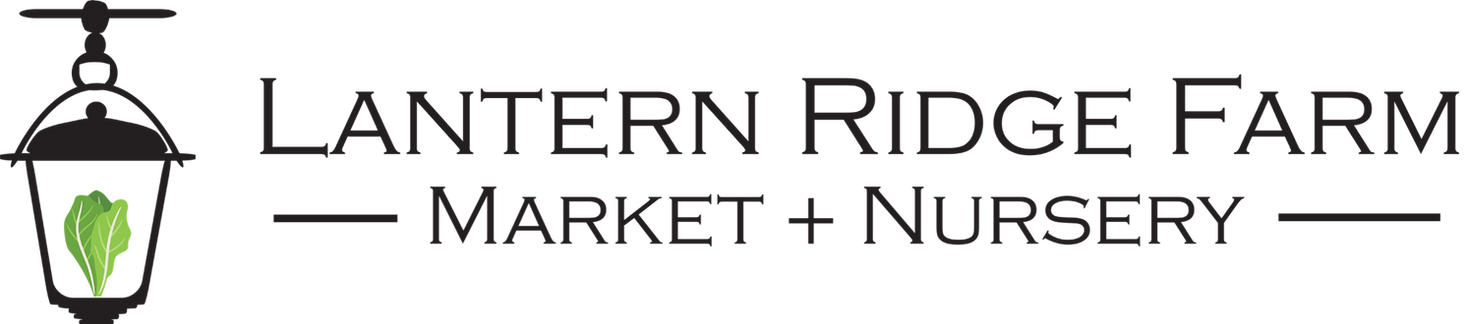 Holiday Market Pop-Up