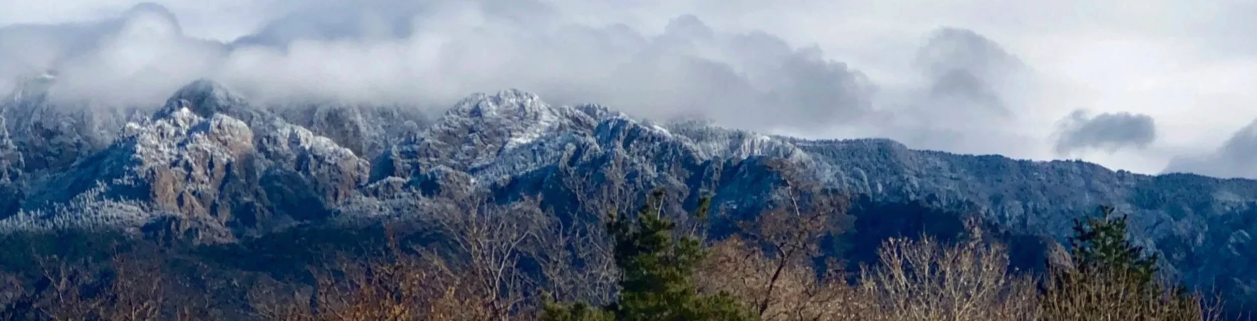 Snow-capped mountain range with cloudy sky and bare trees in the foreground.