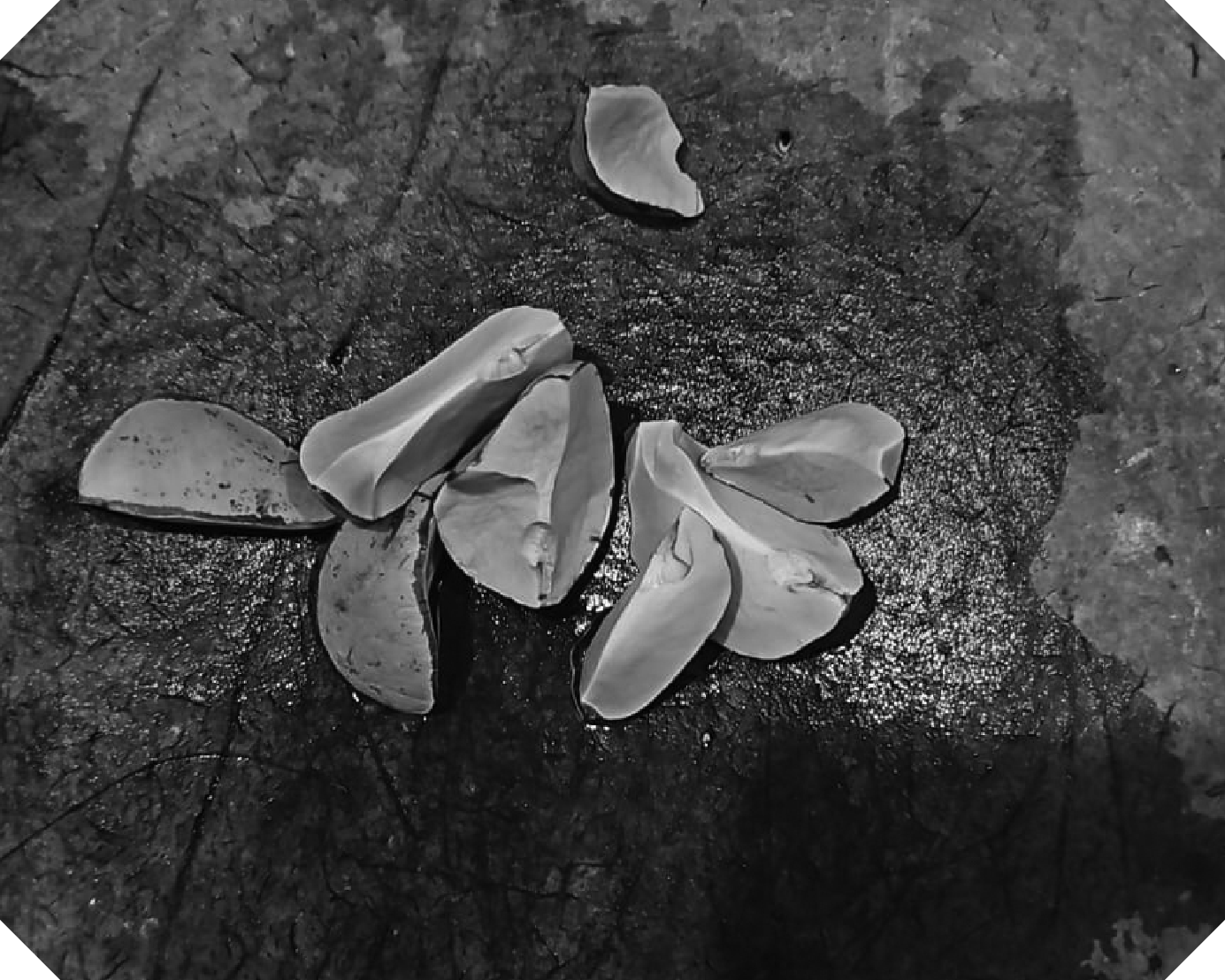 Nosotros-Slideshow-1 copy 28.png