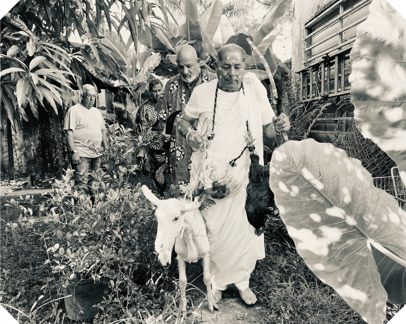 Nosotros-Slideshow-1 copy 7.png