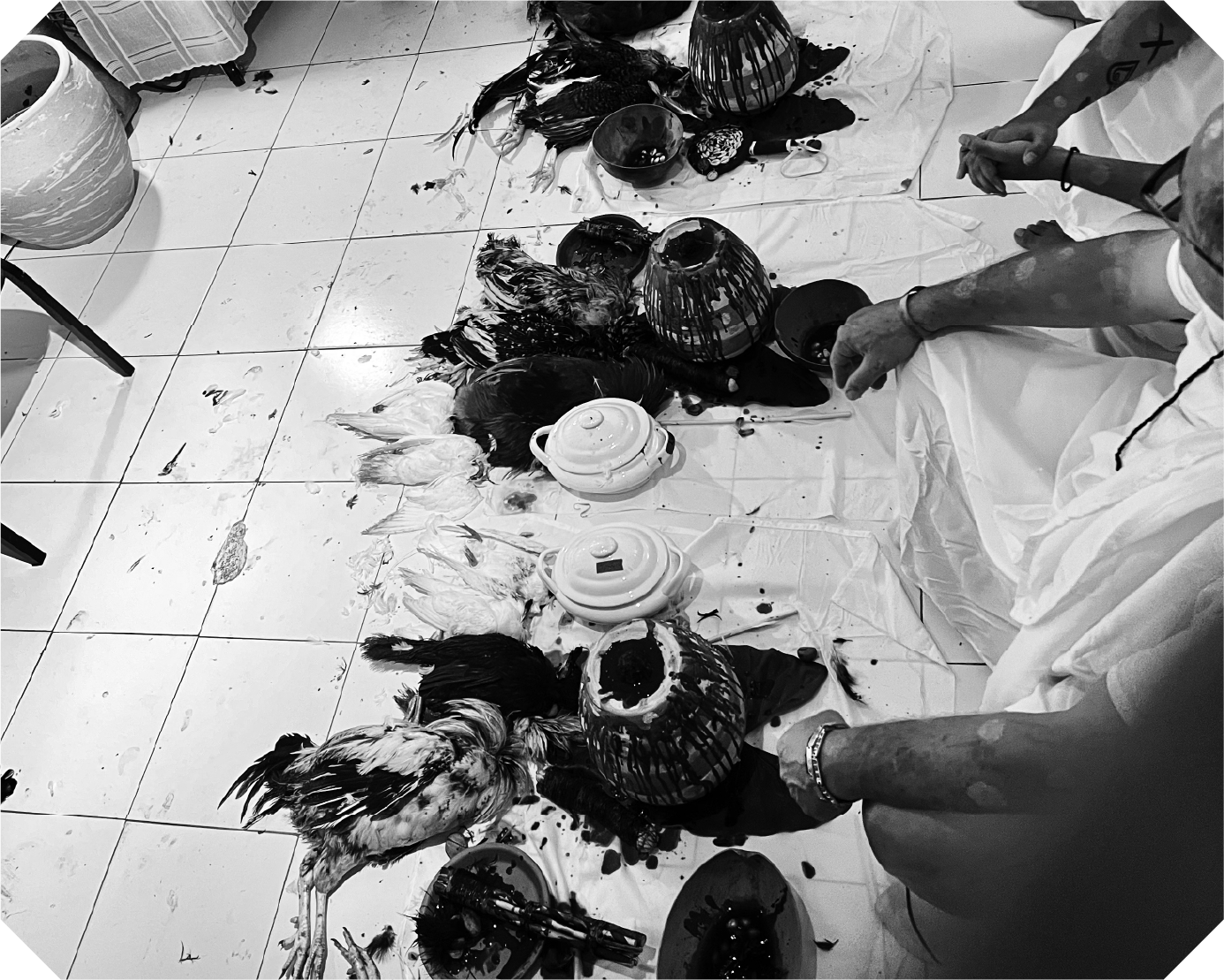 Nosotros-Slideshow-1 copy 11.png