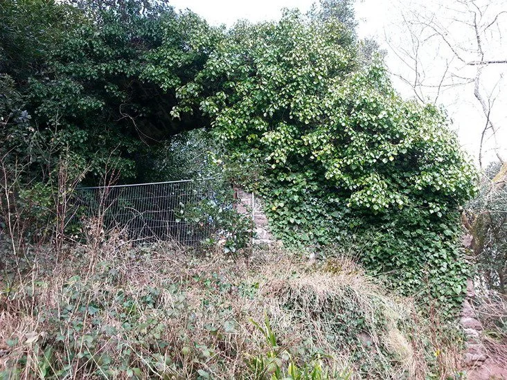 Archway in 2023 when metal mesh blocks access, path is overgrown arch covered in ivy.