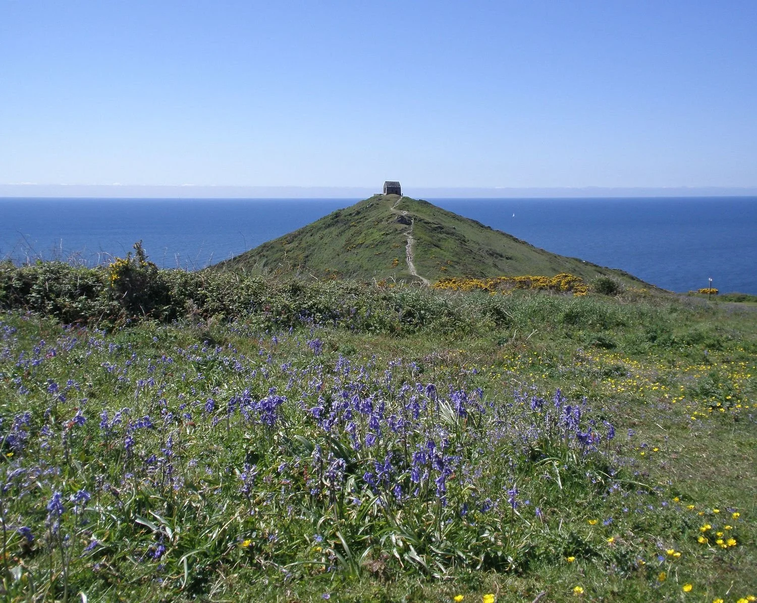 Colour photo of Rame head chapel from a distance on a spring day with bluebells in the foreground and a backdrop of blue, blue sea.
