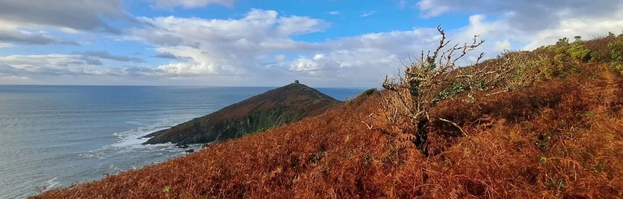 Photo of Rame Head. Orange bracken in foreground. Blue sea and sky. White fluffy clouds.