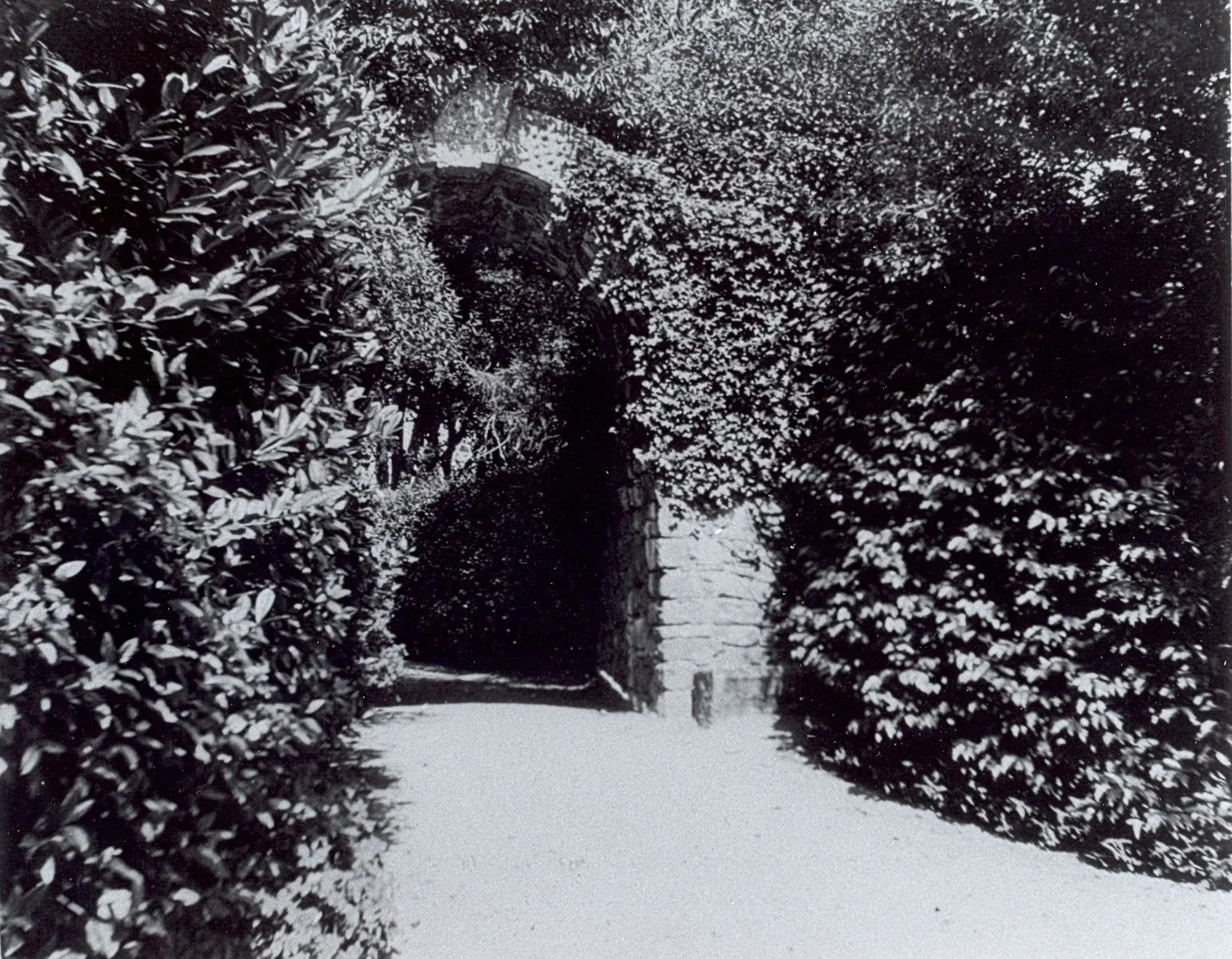 Black and white photograph of arch c 1900. Arch intact and framed by foliage.
