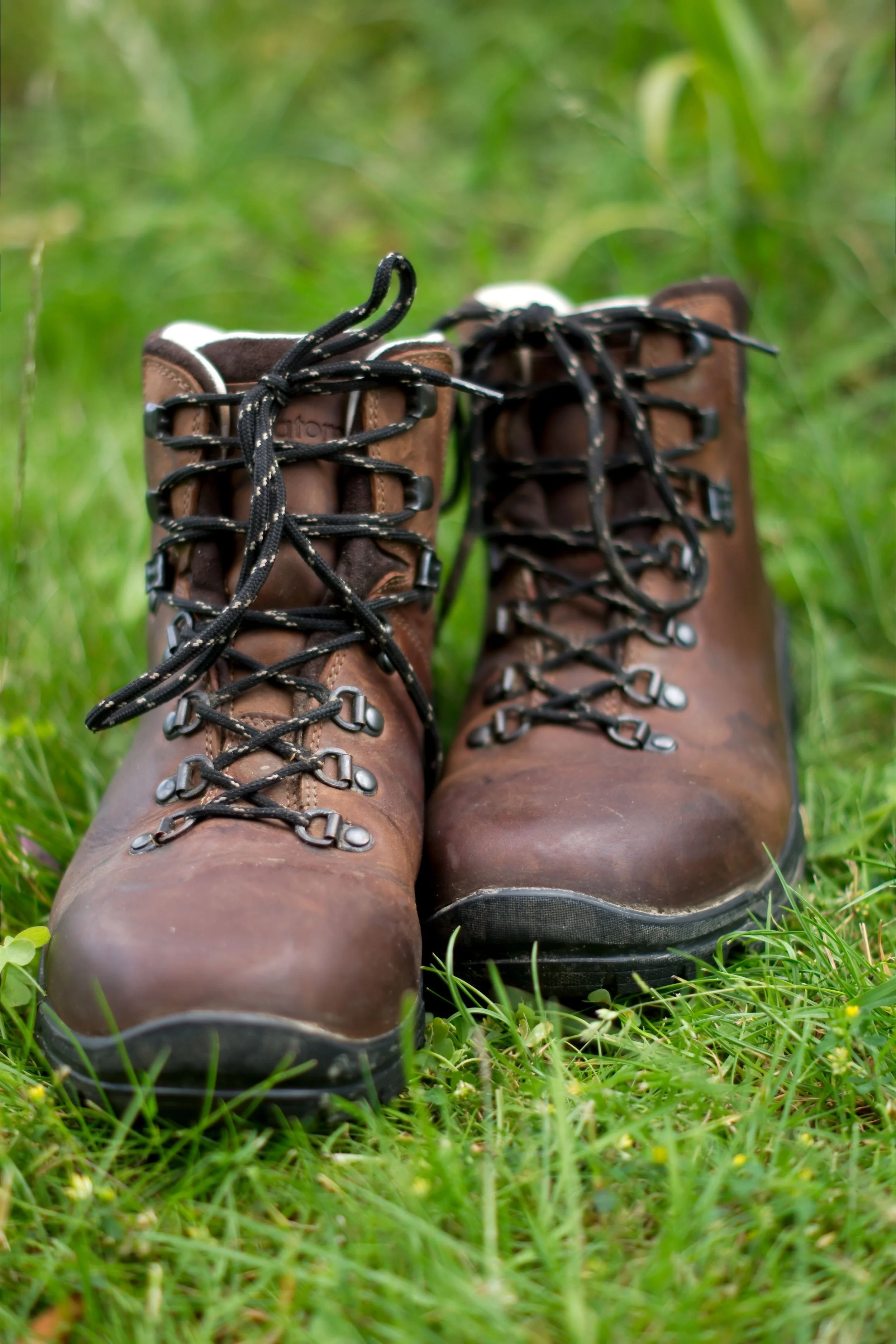 Pair of brown leather walking boots on vivid  green grass.