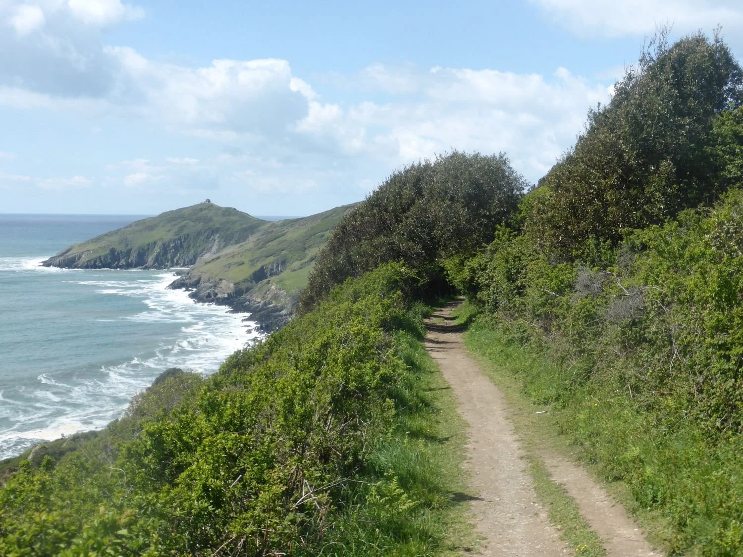 Path bathed in sunlight disappearing into a tunnel of foliage . In the distance is the Rame peninsula headland and the Chapel of St Michael on the top of Rame Head. Foaming waves lap against the shoreline of the headland.