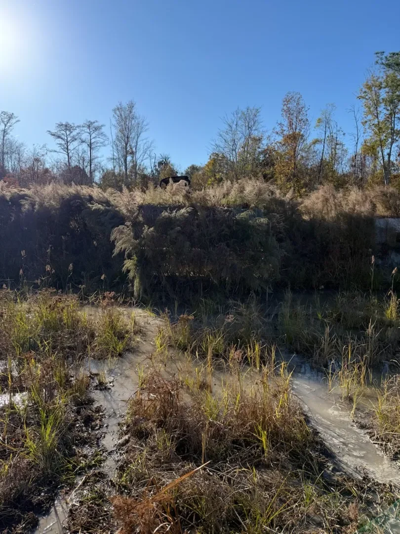 Why Here and Not There? 3 Common Impoundment Mistakes Sabotaging Your Waterfowl Hunts