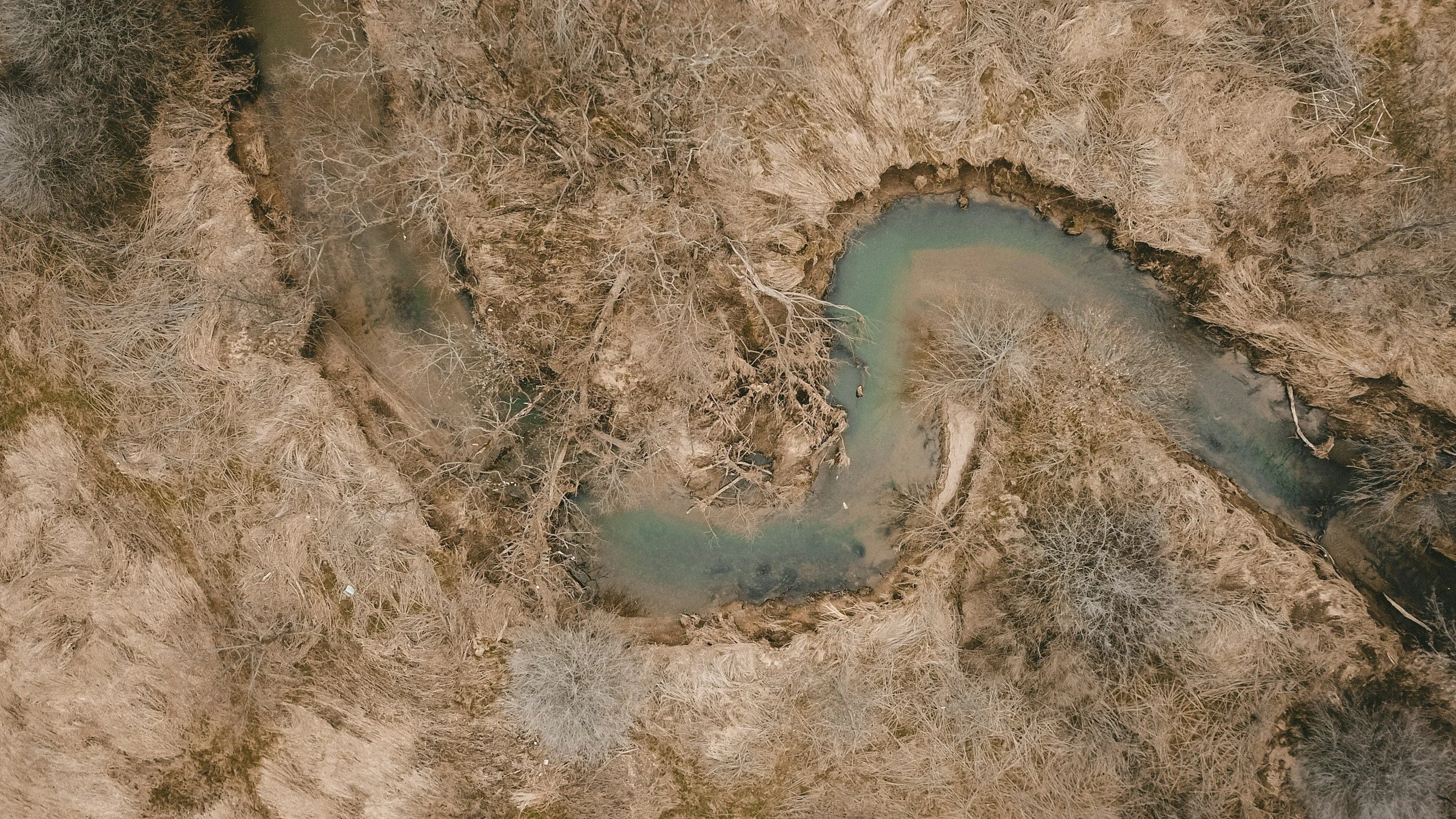 Lowcountry Land Stewardship: The "Dry Bottom" Opportunity