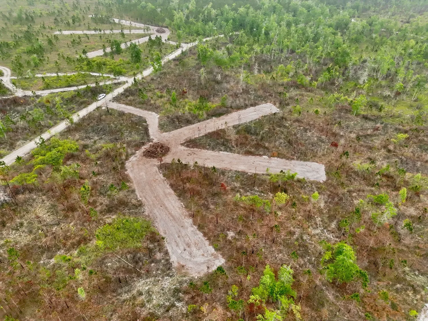 Case Study: Intentional Property Design for Deer Hunting