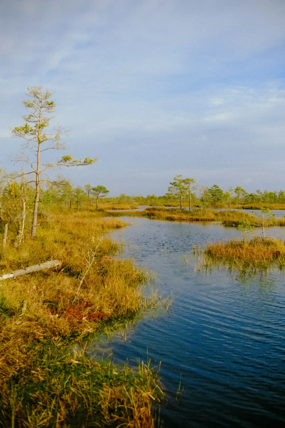 A well-mantained, varied property with a mix of wetland and open areas.