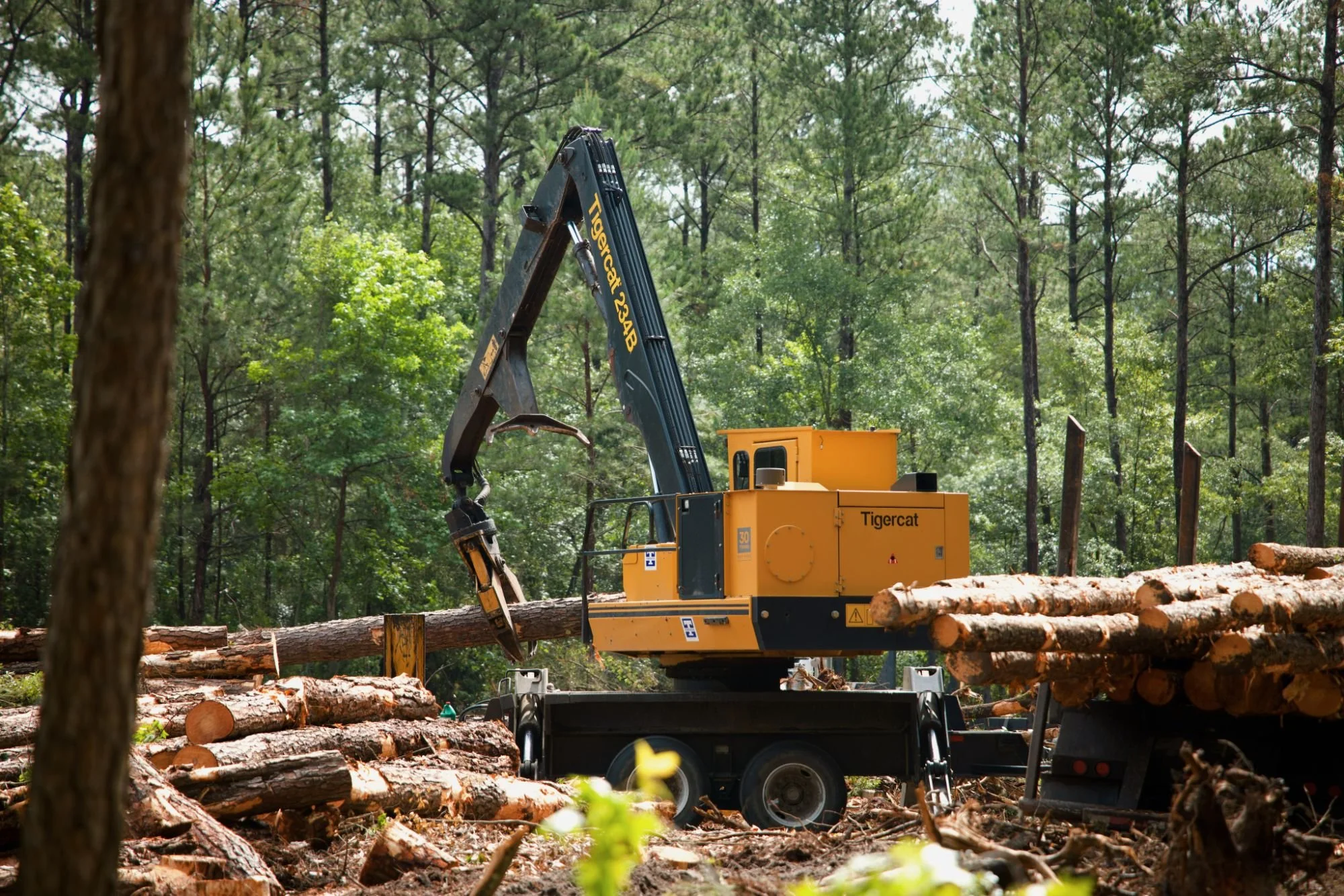 Equipment deployed for a timber harvest operation