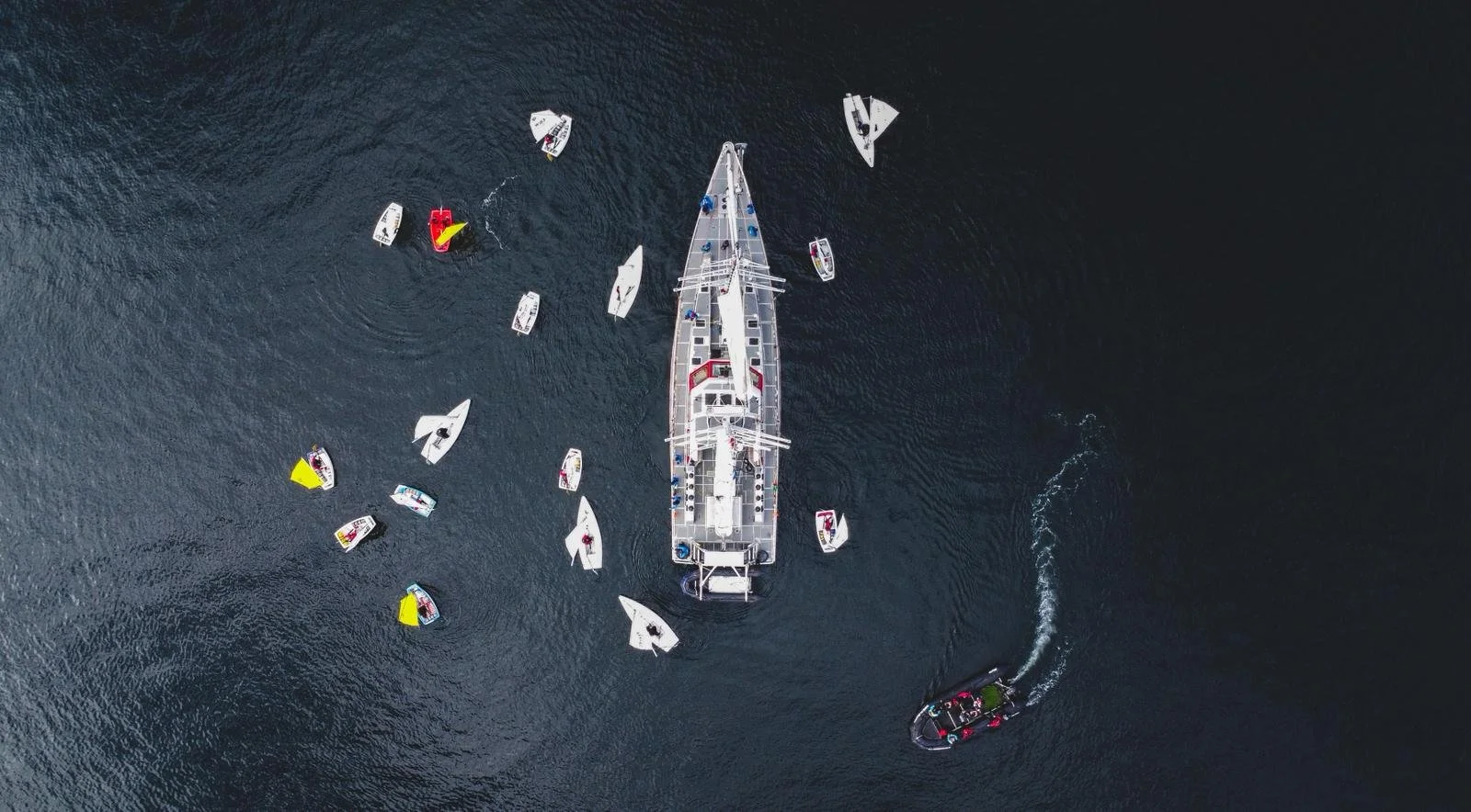 WhatsApp Image 2026-03-21 at 17.24.33.jpeg