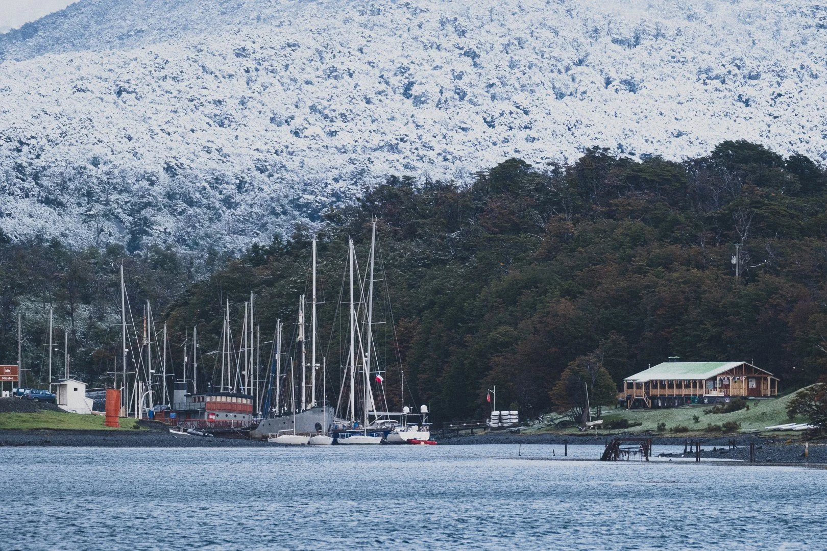 DSCF8476 (Large).jpg