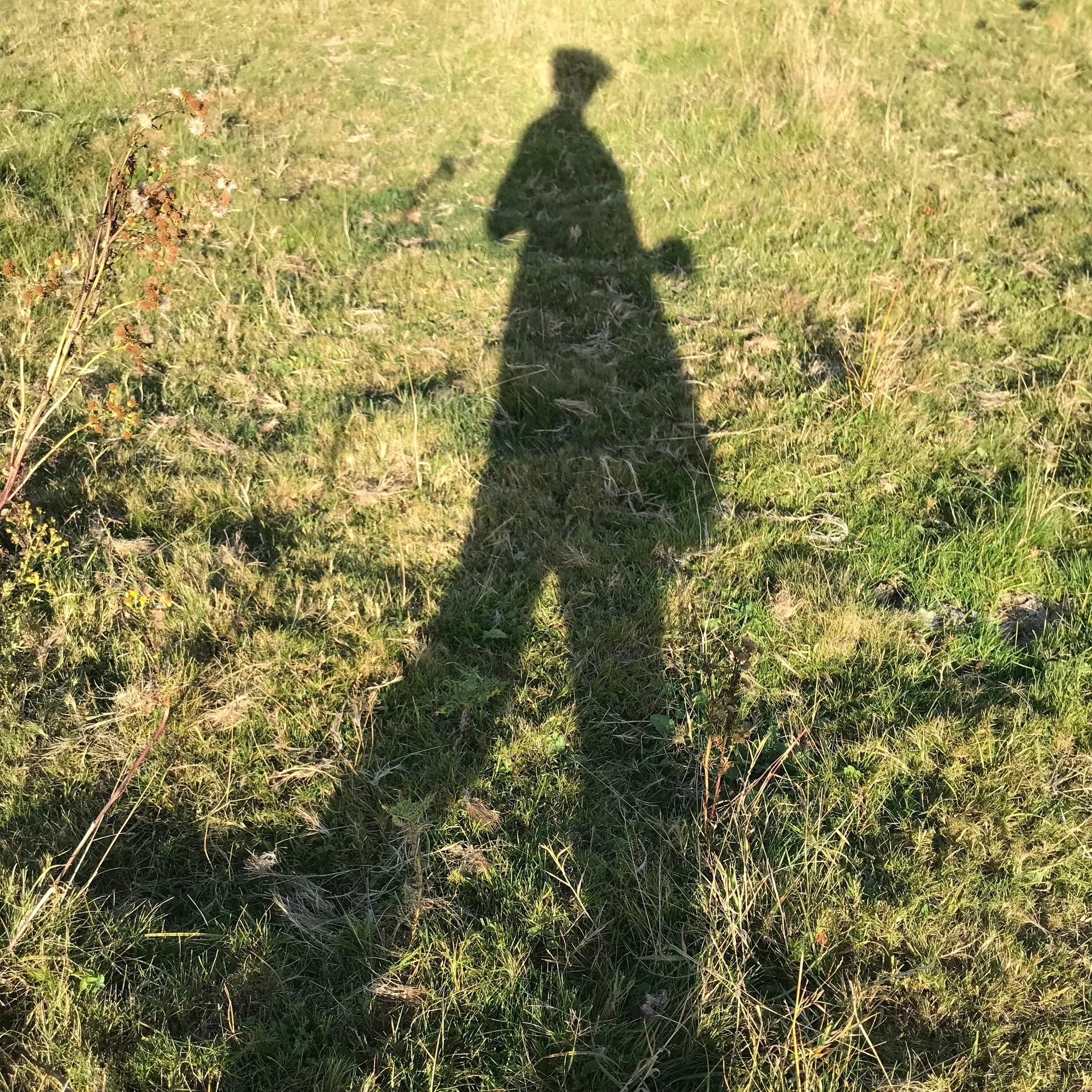 Body, Heart and Mind