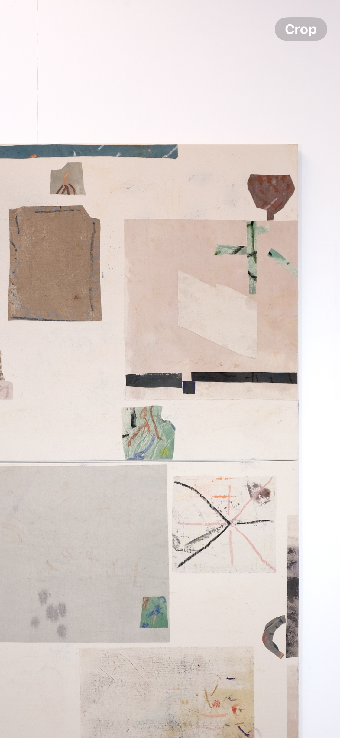  2025 acrylic, oil, cotton twill 2.6m x 1.8m 