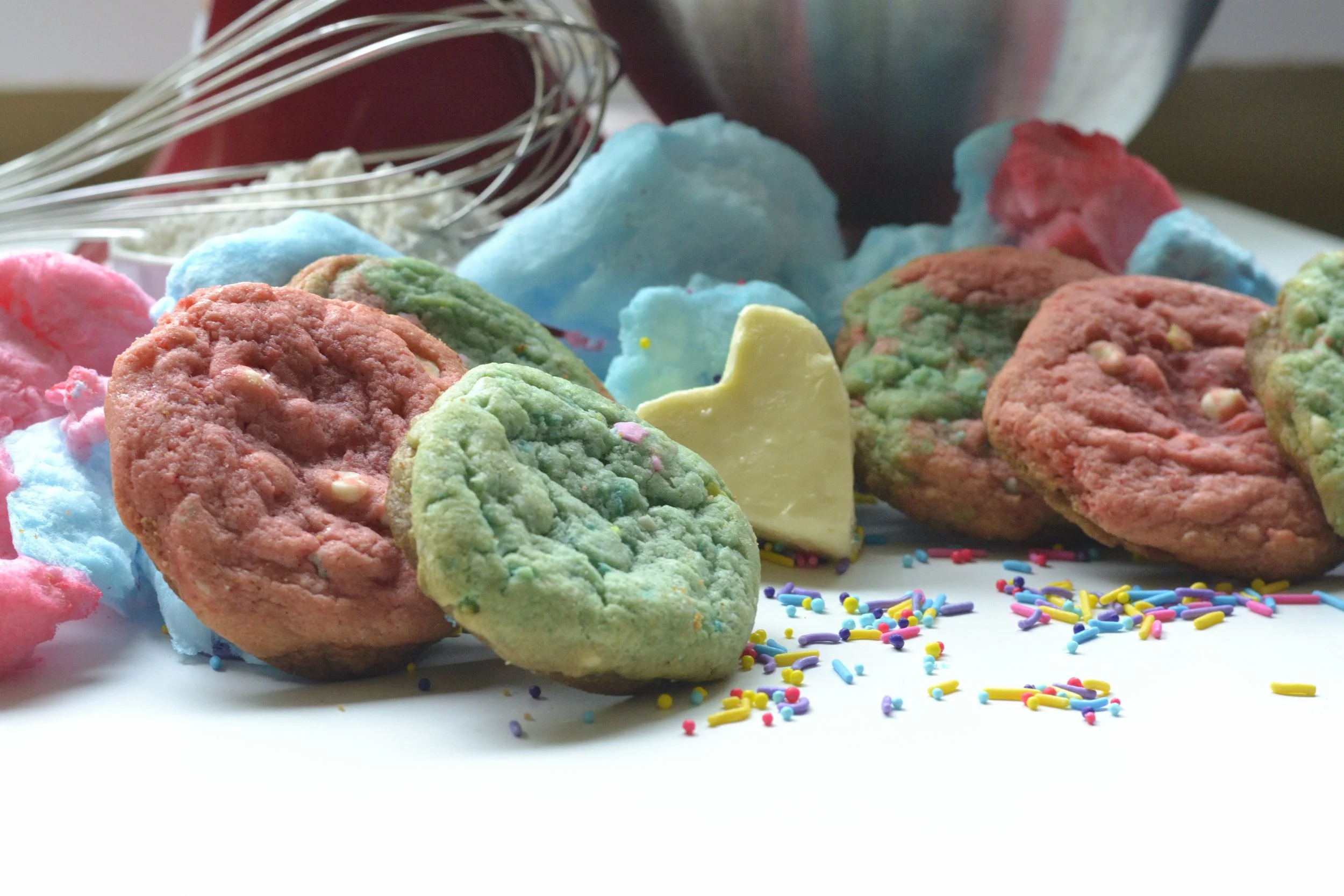 BBCC Photo Shoot August 2025 013.JPG