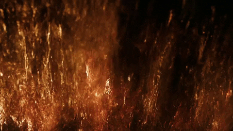 Animated GIF-downsized_large.gif