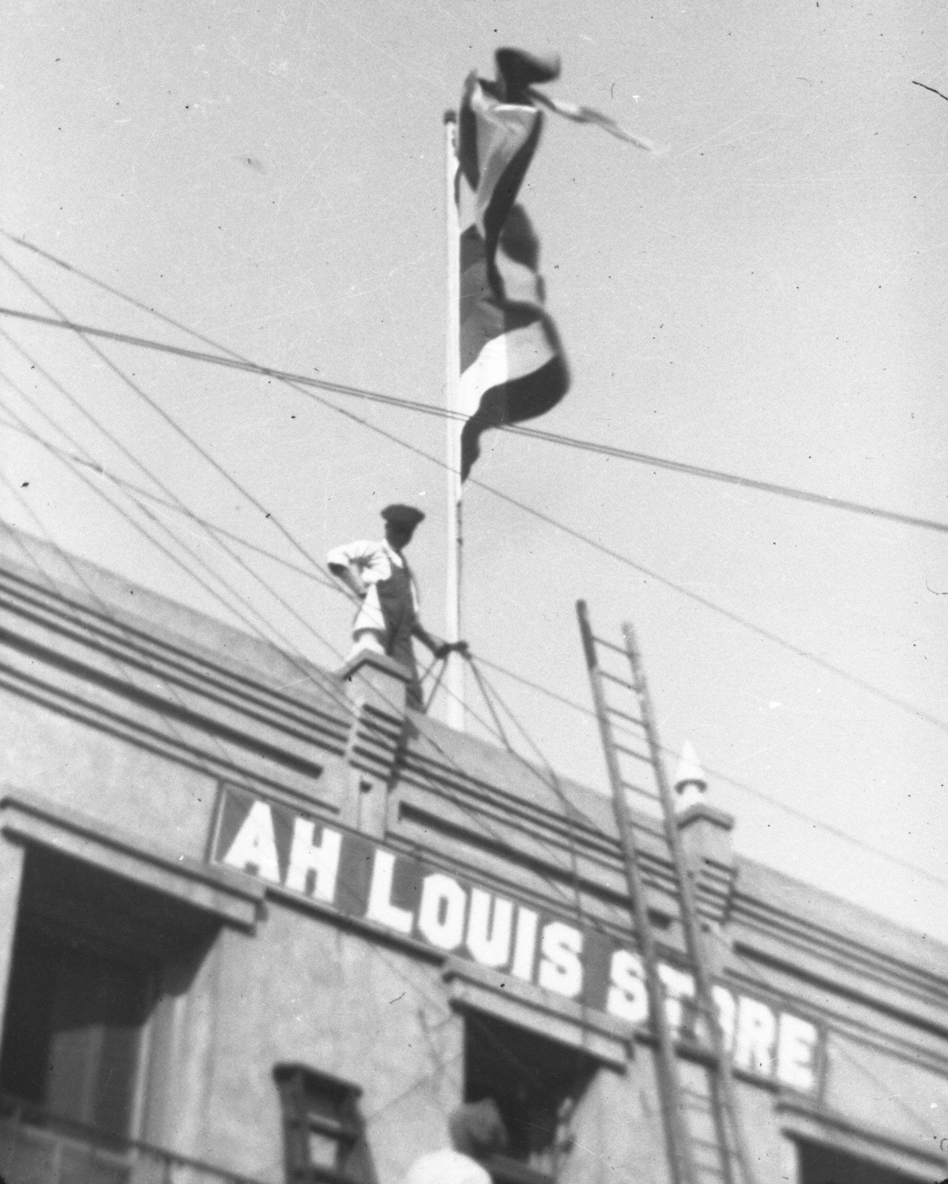 palm first flag of Chinese Republic ca 1912 8x10 hc.jpg